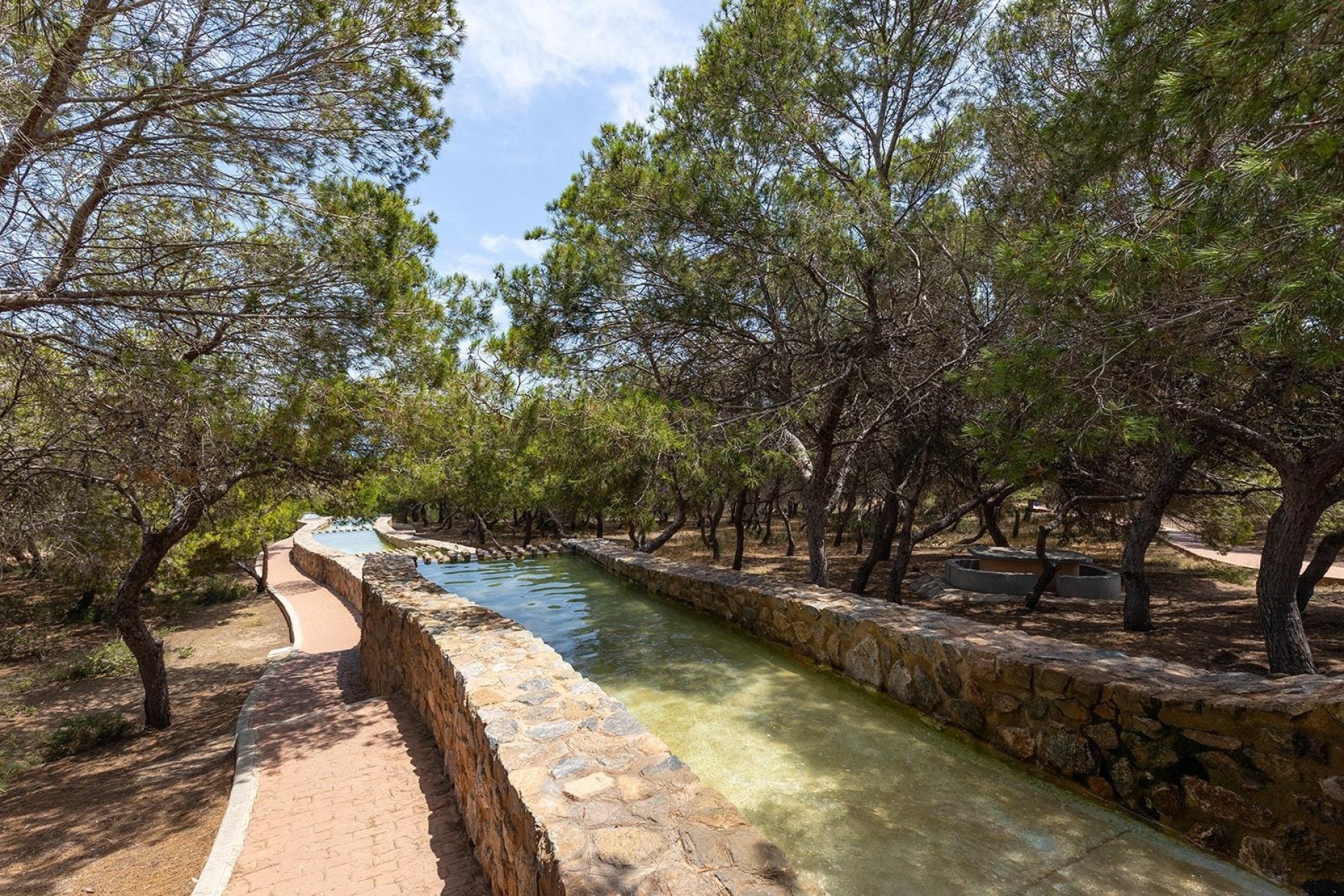 Sprzedaż - Apartament mieszkanie -
Torrevieja - La Mata