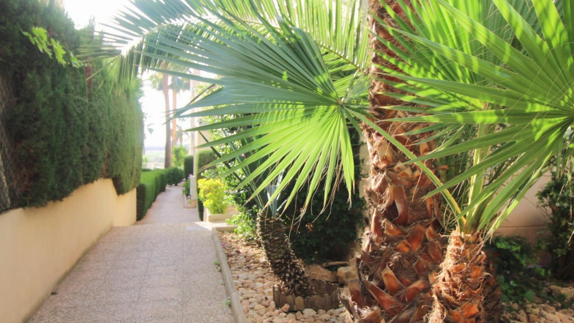 Sprzedaż - Apartament mieszkanie -
Torrevieja - La veleta