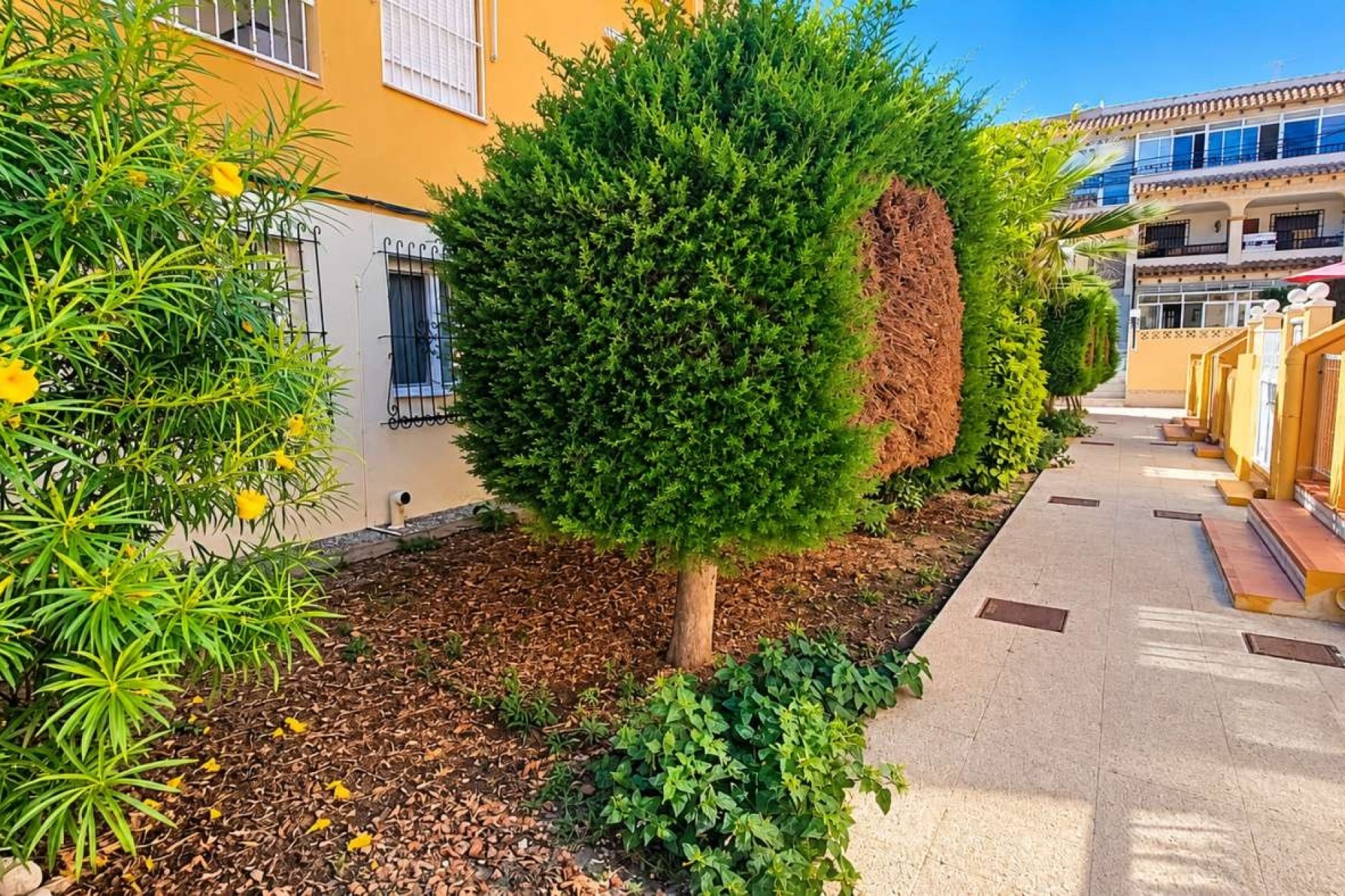 Sprzedaż - Apartament / Mieszkanie -
Torrevieja - La Veleta