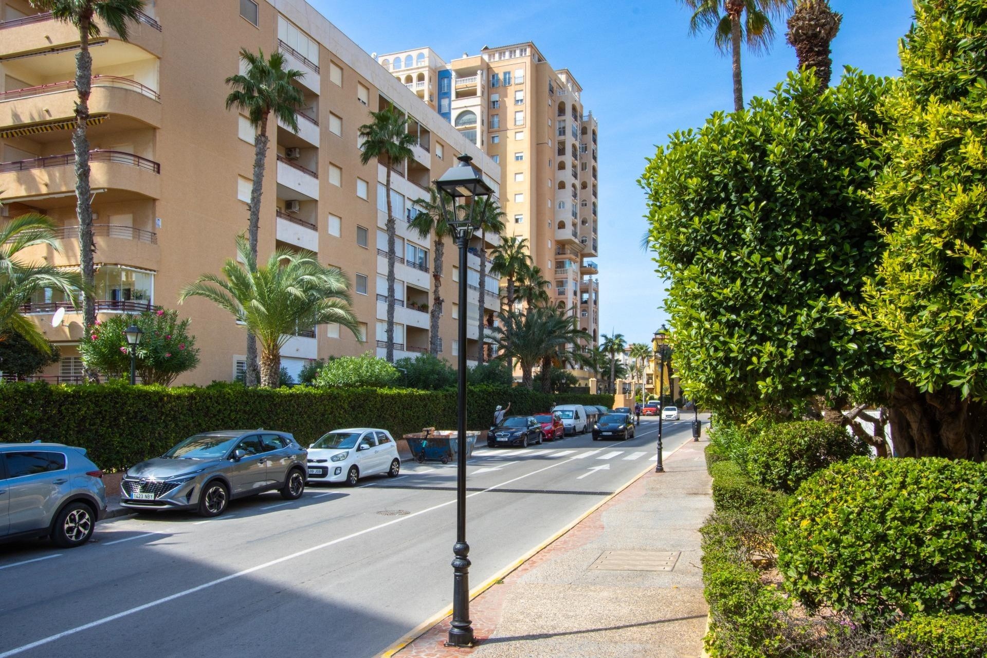 Sprzedaż - Apartament / Mieszkanie -
Torrevieja - Los Frutales