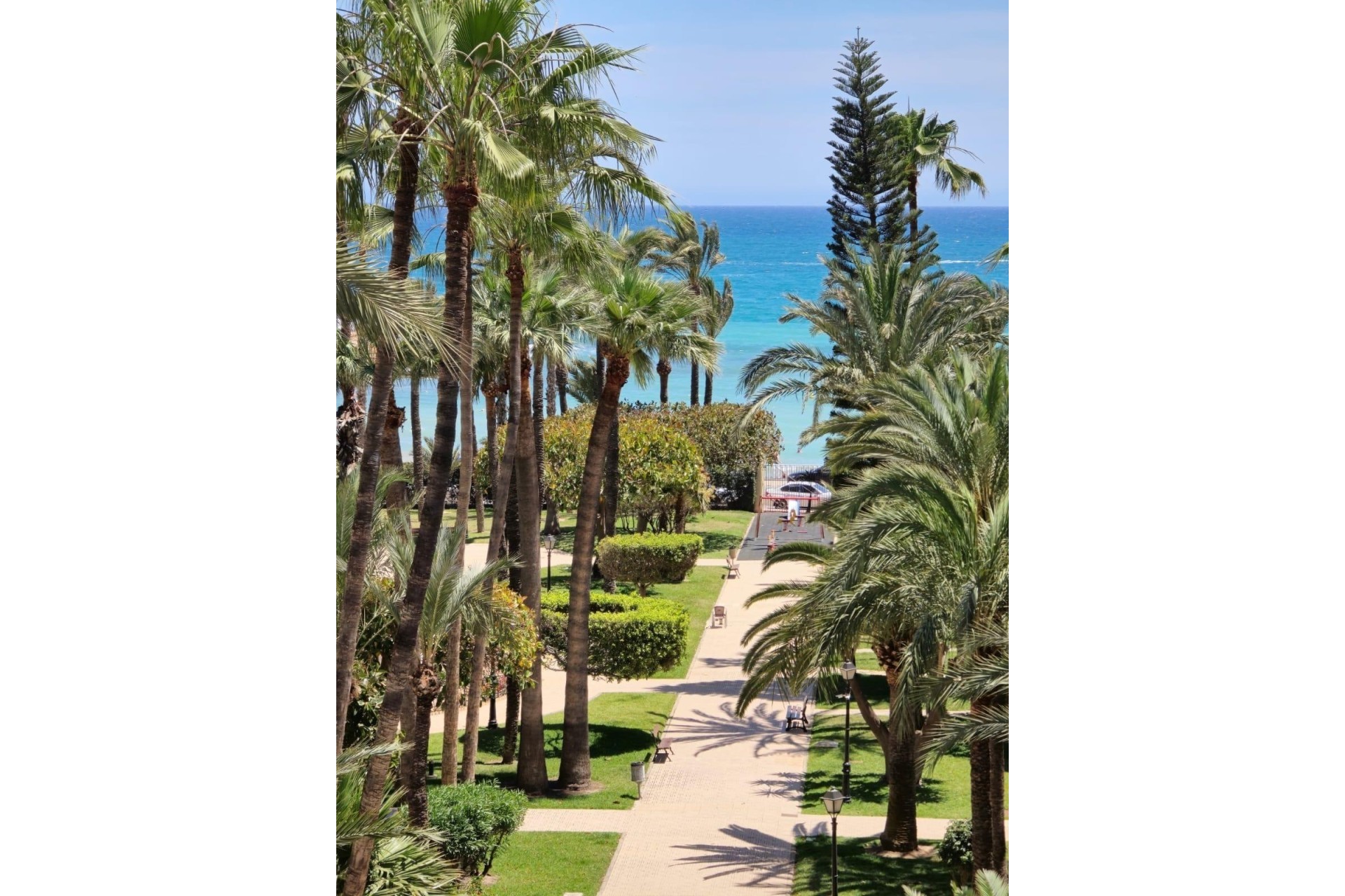 Sprzedaż - Apartament / Mieszkanie -
Torrevieja - Los Frutales