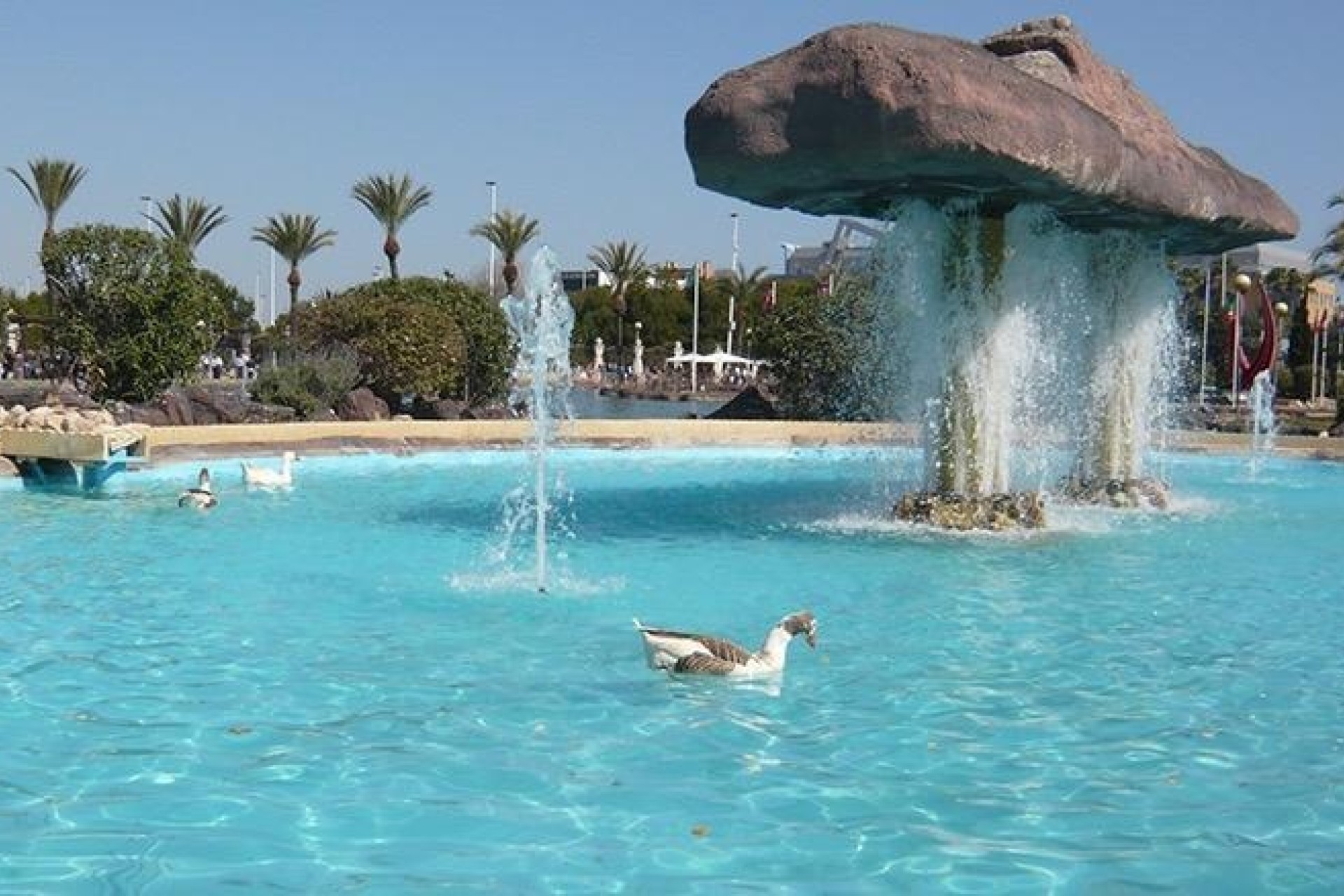 Sprzedaż - Apartament / Mieszkanie -
Torrevieja - Parque las naciones