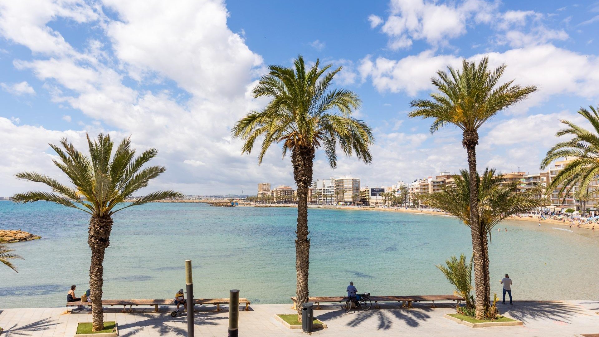 Sprzedaż - Apartament mieszkanie -
Torrevieja - Playa del cura