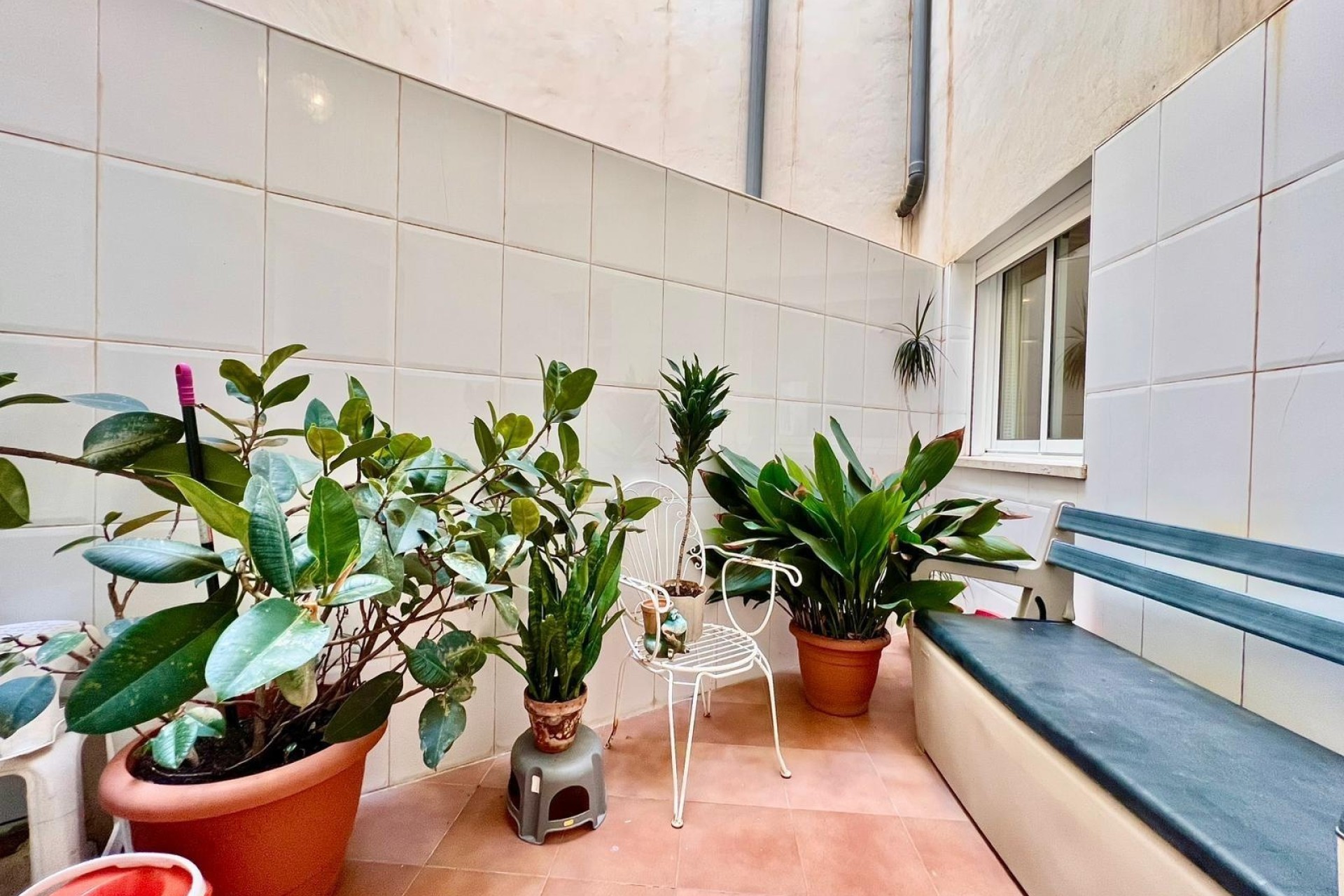 Sprzedaż - Apartament / Mieszkanie -
Torrevieja - Playa del Cura