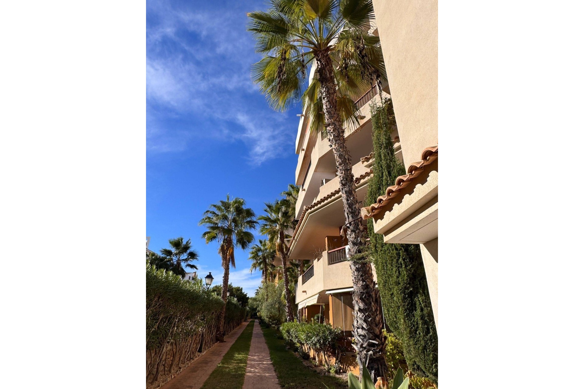 Sprzedaż - Apartament / Mieszkanie -
Torrevieja - Punta Prima