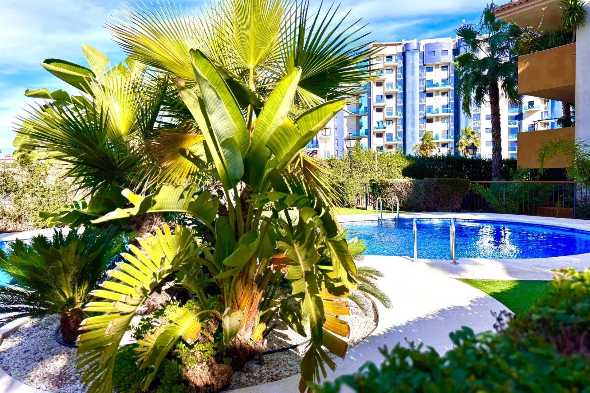 Sprzedaż - Apartament / Mieszkanie -
Torrevieja - Punta Prima