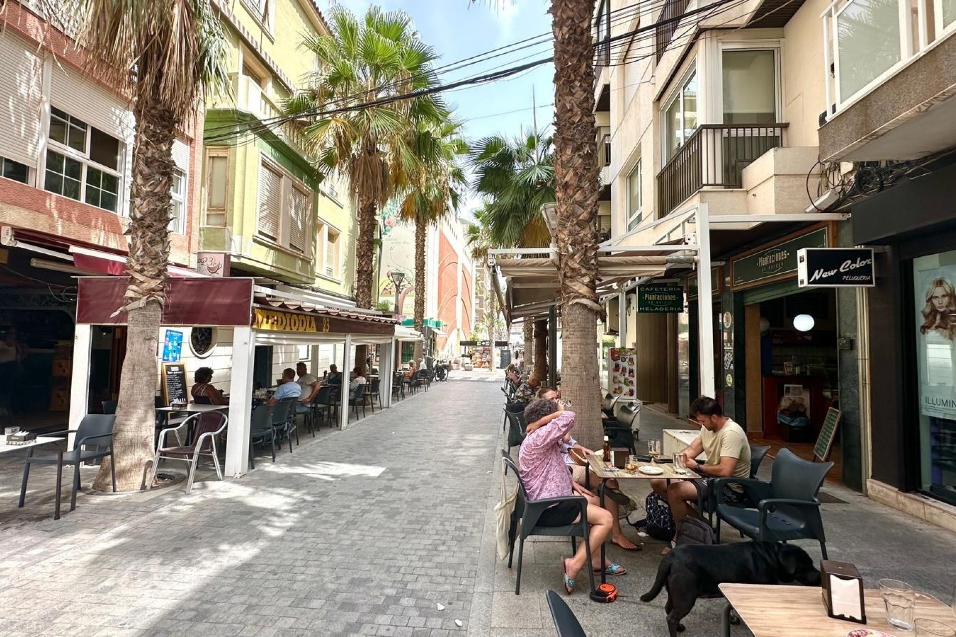 Sprzedaż - Apartament mieszkanie -
Torrevieja - torrevieja