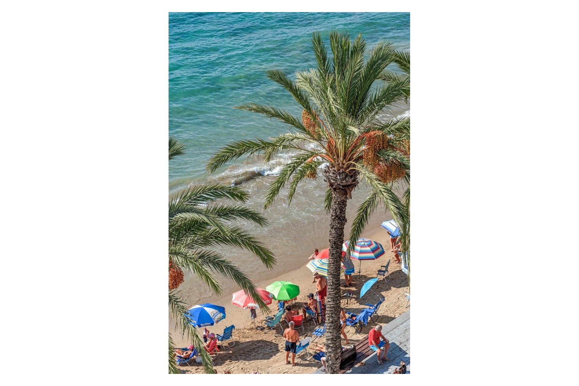 Sprzedaż - Apartament / Mieszkanie -
Torrevieja