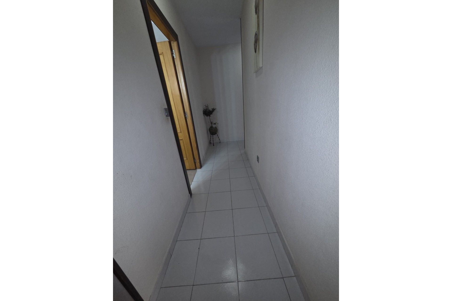 Sprzedaż - Apartament / Mieszkanie -
Torrevieja