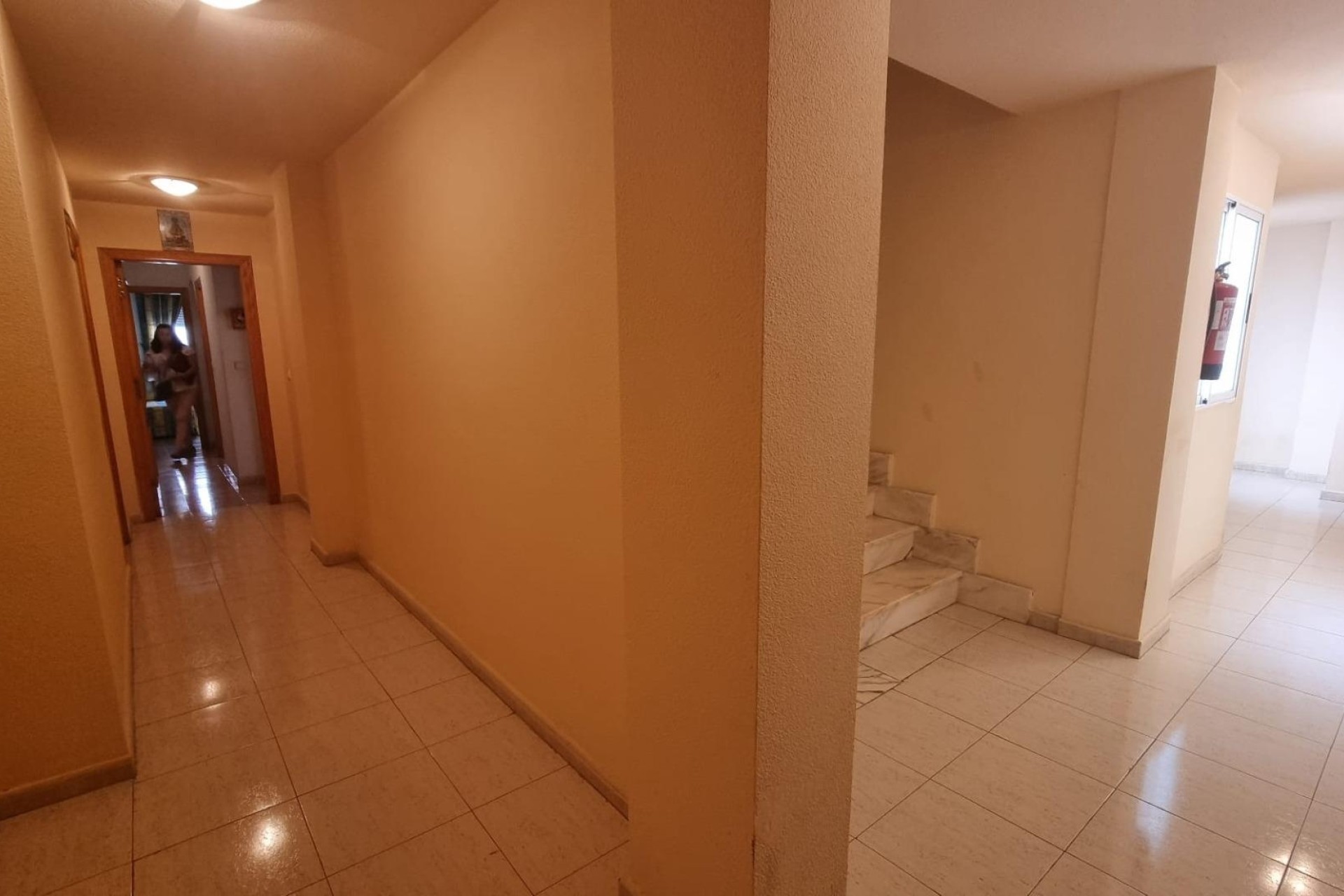 Sprzedaż - Apartament / Mieszkanie -
Torrevieja