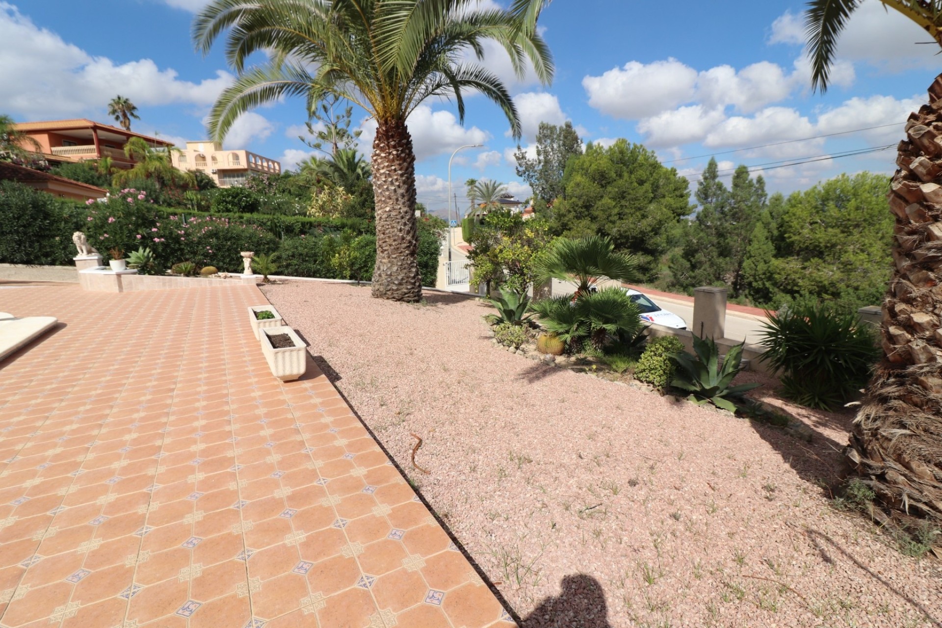 Sprzedaż - Detached Villa -
Algorfa - Lomas de La Juliana
