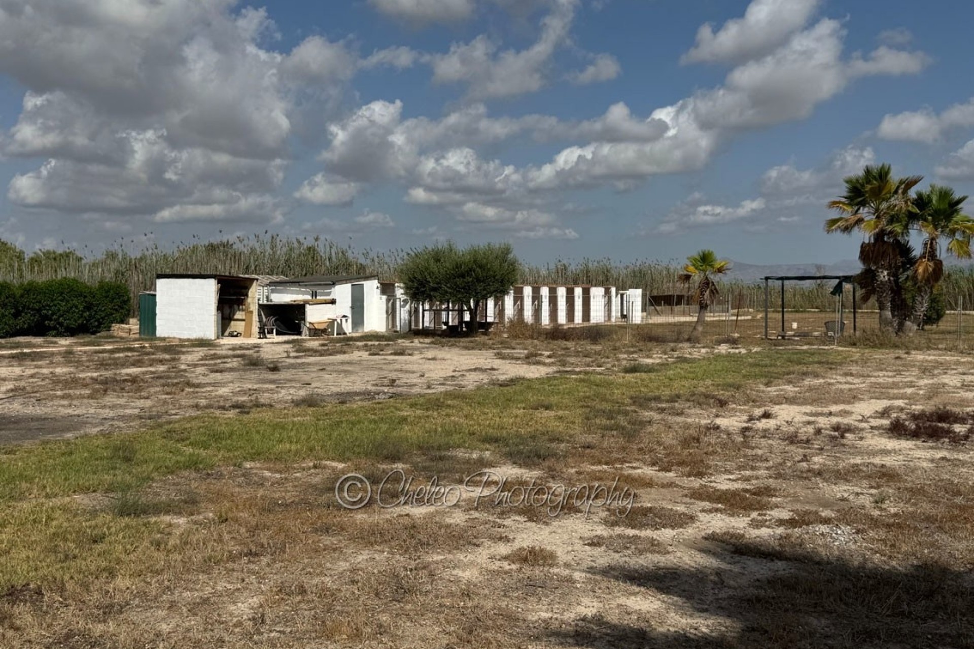 Sprzedaż - Detached Villa -
Catral - CatralAlicanteValenciaSpain