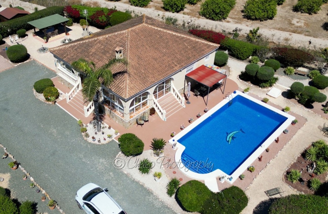 Sprzedaż - Detached Villa -
Catral - CatralAlicanteValenciaSpain