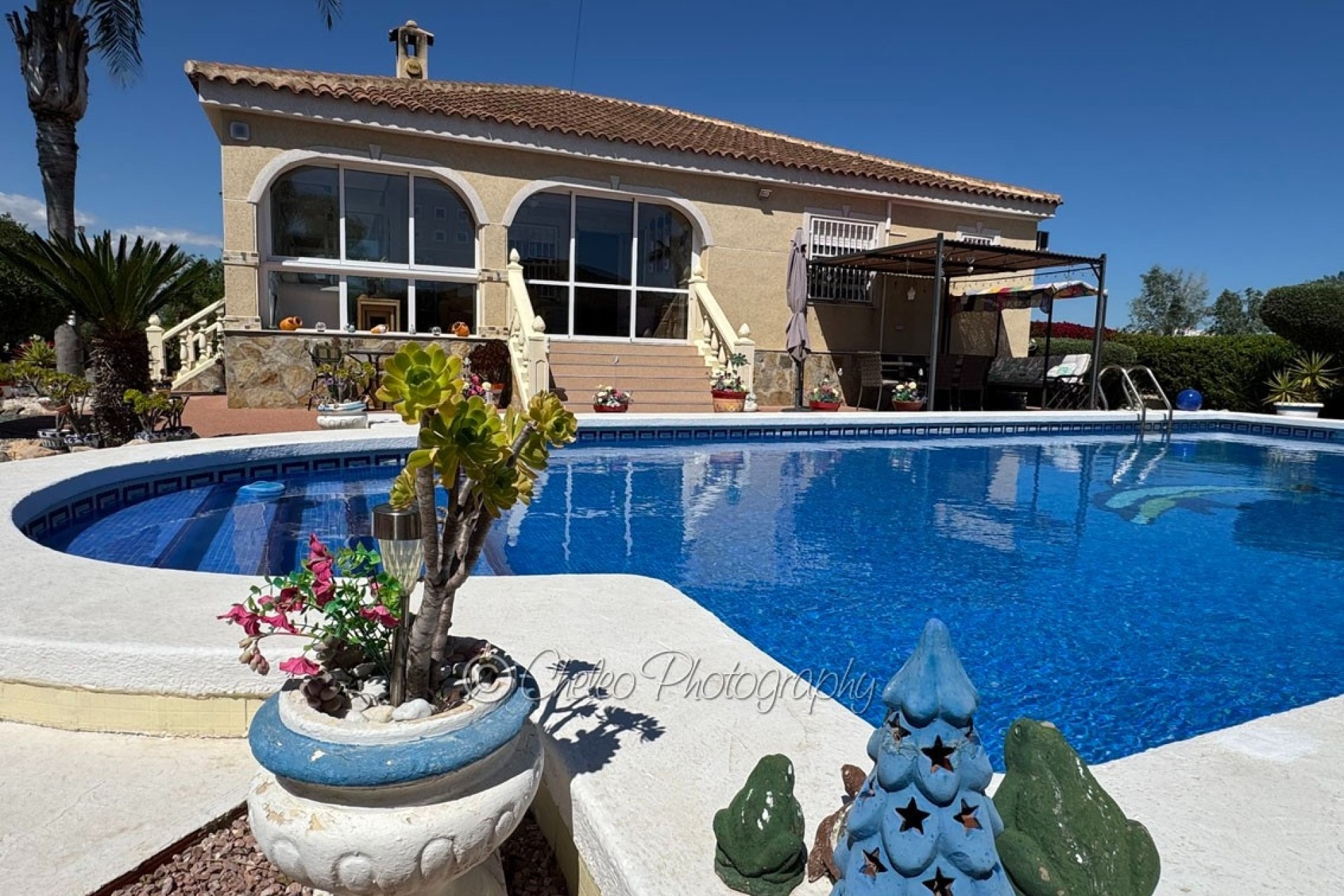 Sprzedaż - Detached Villa -
Catral - CatralAlicanteValenciaSpain
