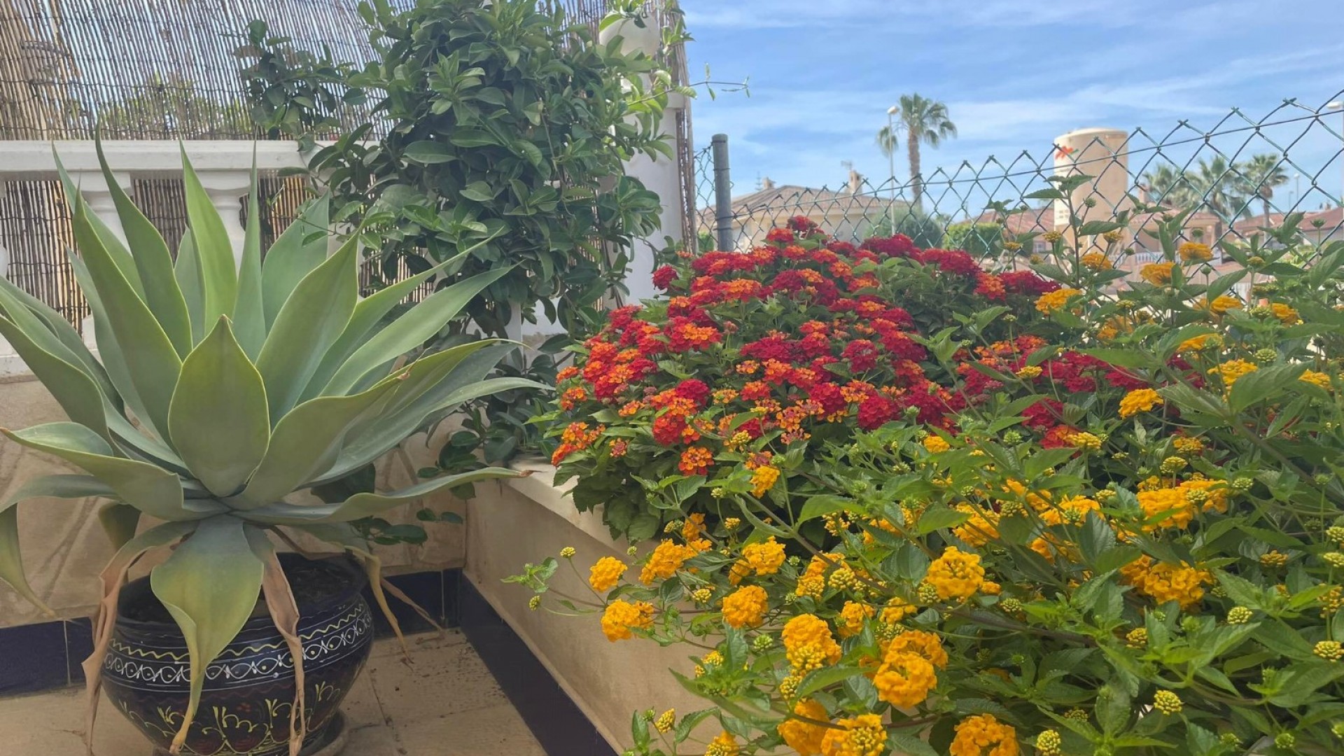 Sprzedaż - Dom miejski -
Ciudad Quesada - Rojales - Ciudad Quesada