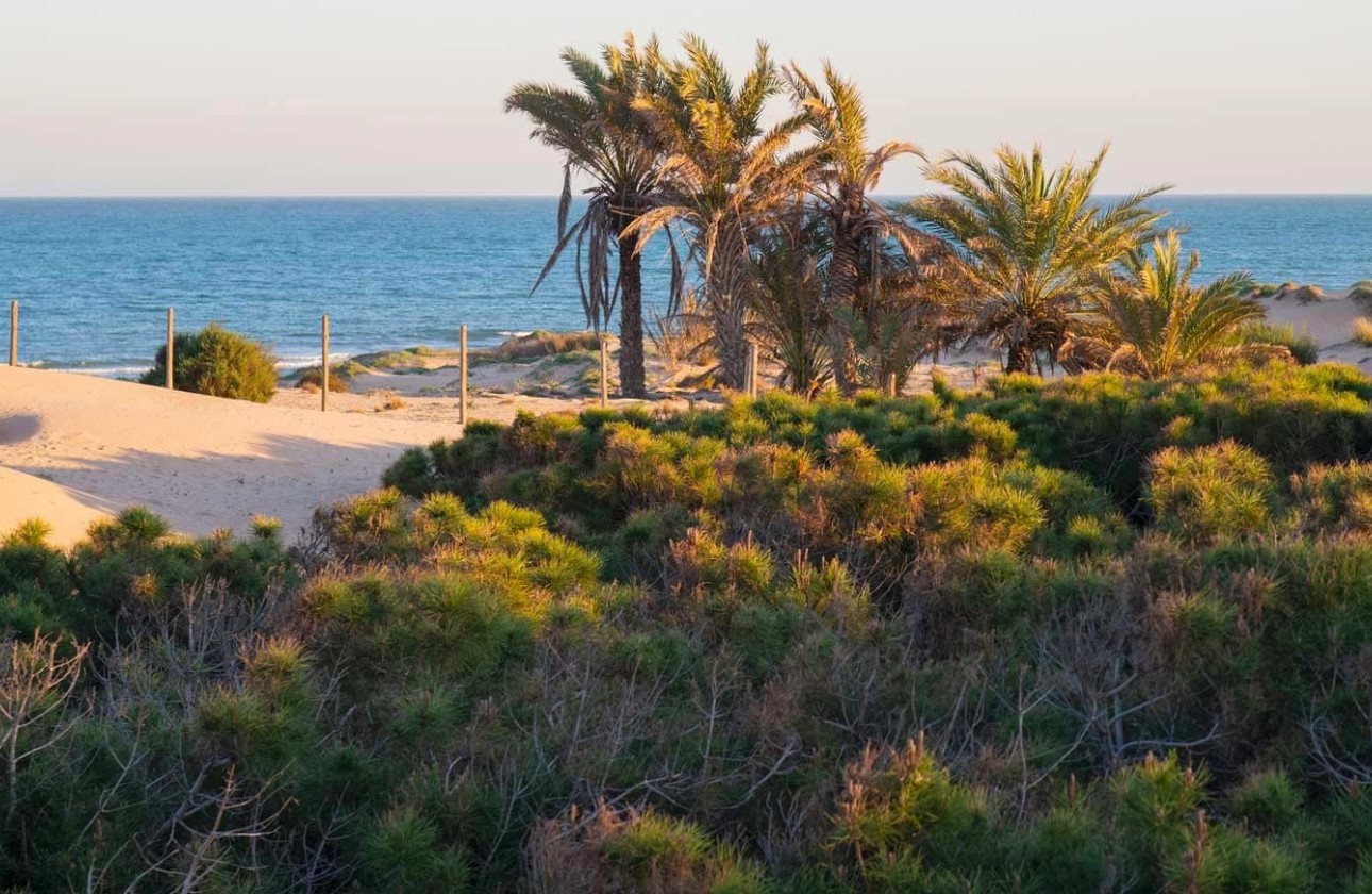 Sprzedaż - Dom miejski -
Guardamar del Segura - Costa Blanca