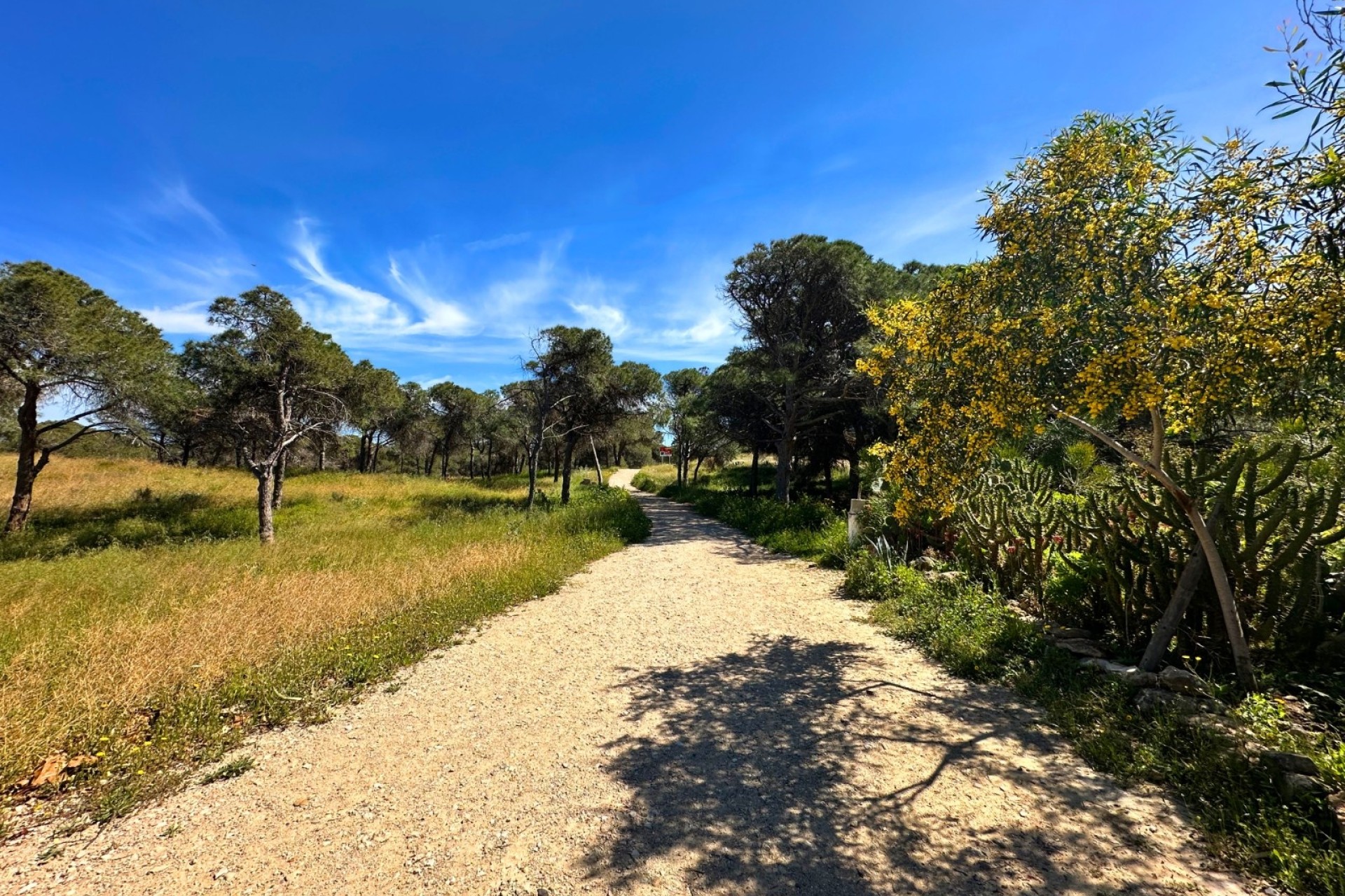 Sprzedaż - Dom miejski -
Guardamar del Segura