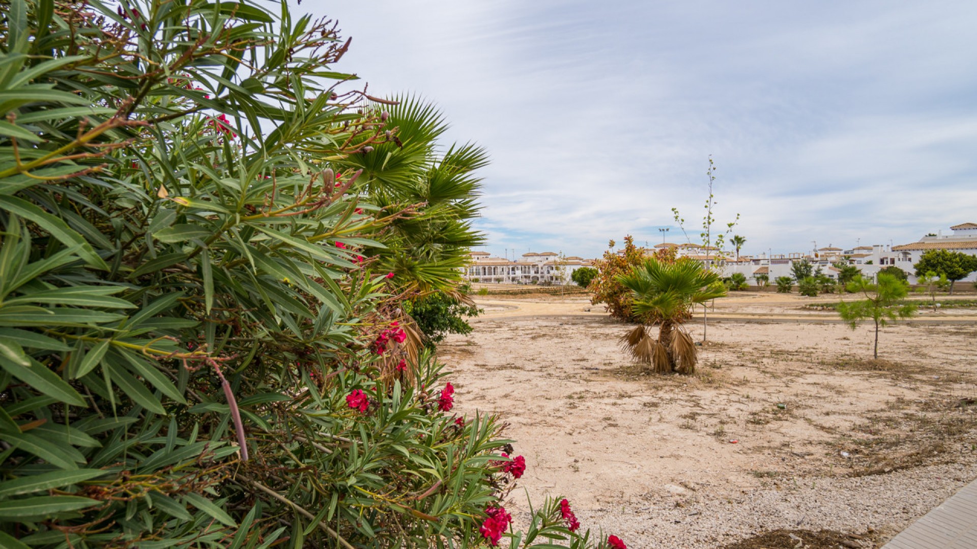 Sprzedaż - Dom miejski -
Los Altos