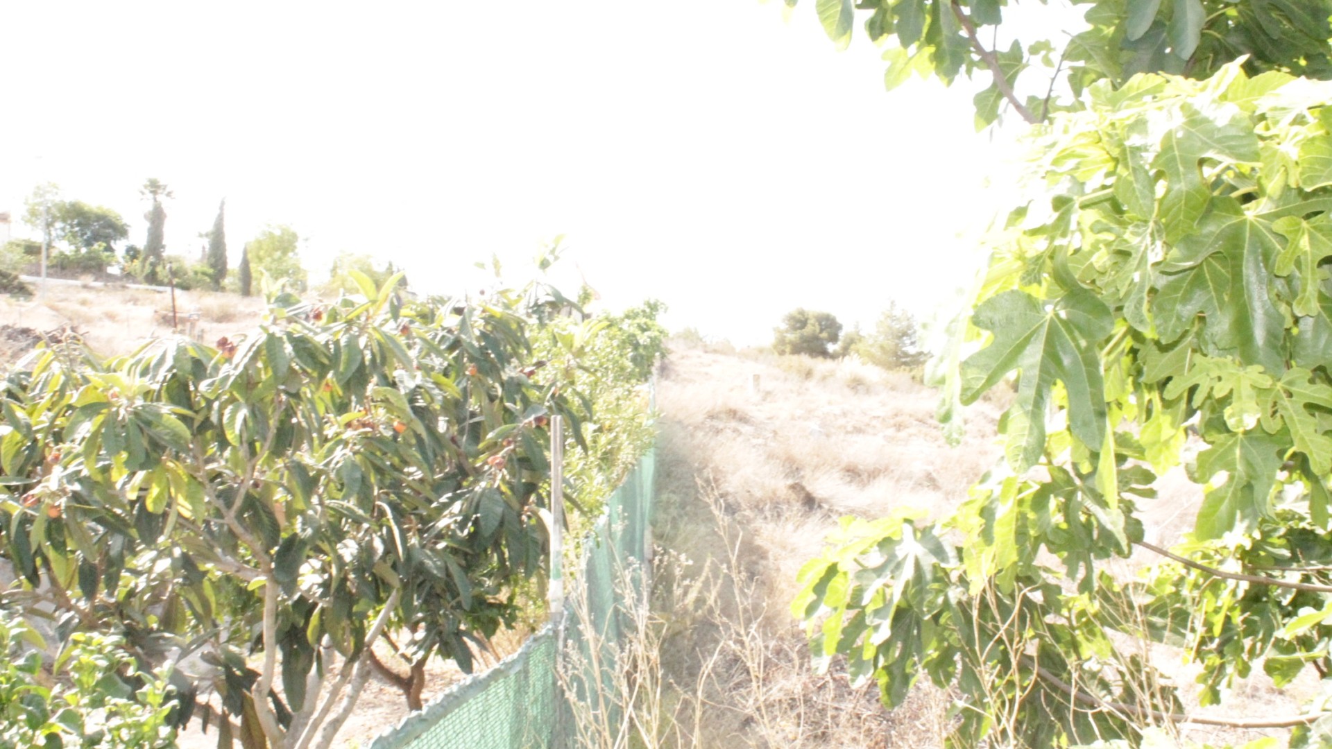 Sprzedaż - Dom miejski -
Peña de la Zafra de Arriba - Peña de la Zafra de Arriba Murcia