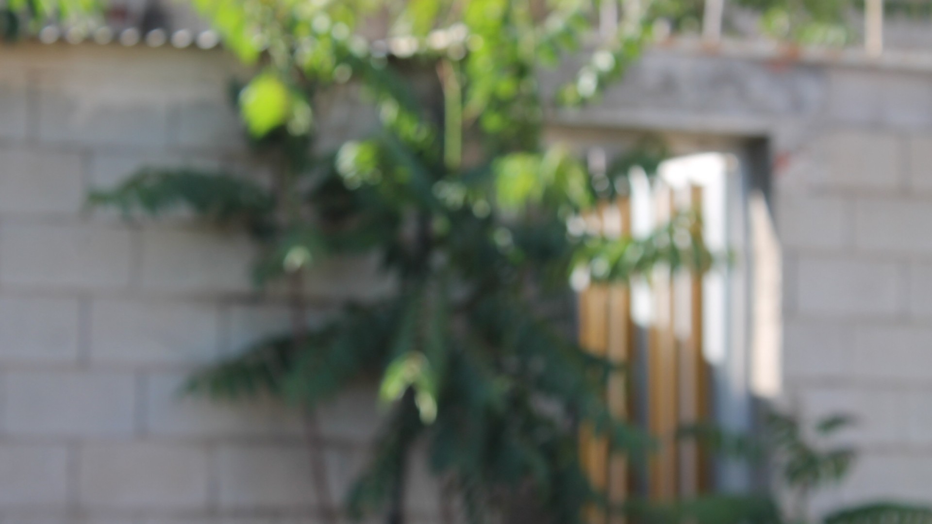 Sprzedaż - Dom miejski -
Peña de la Zafra de Arriba - Peña de la Zafra de Arriba Murcia