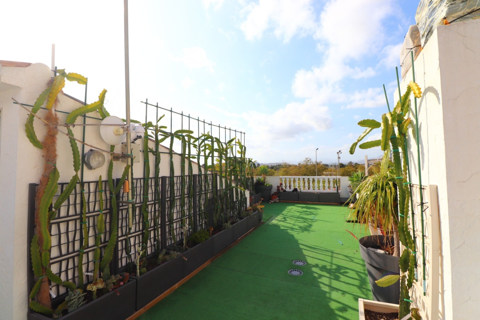 Sprzedaż - Dom miejski -
Redovan - Redovan - Town