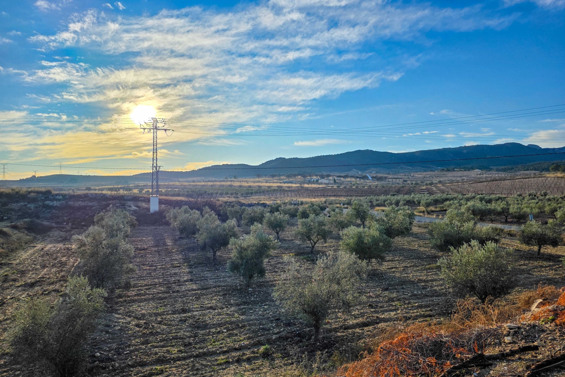 Sprzedaż - Dwór -
Torre Del Rico
