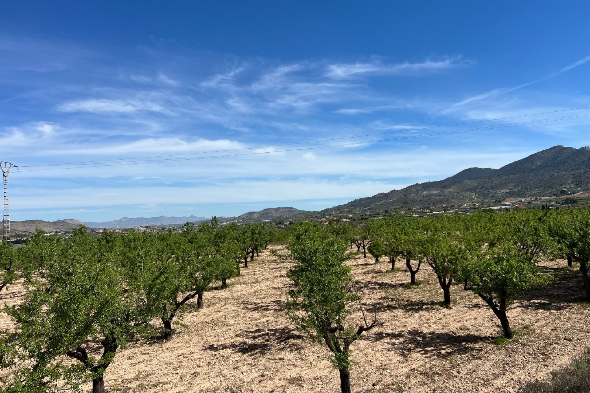 Sprzedaż - Działka / Grunt -
Hondón de los Fráiles