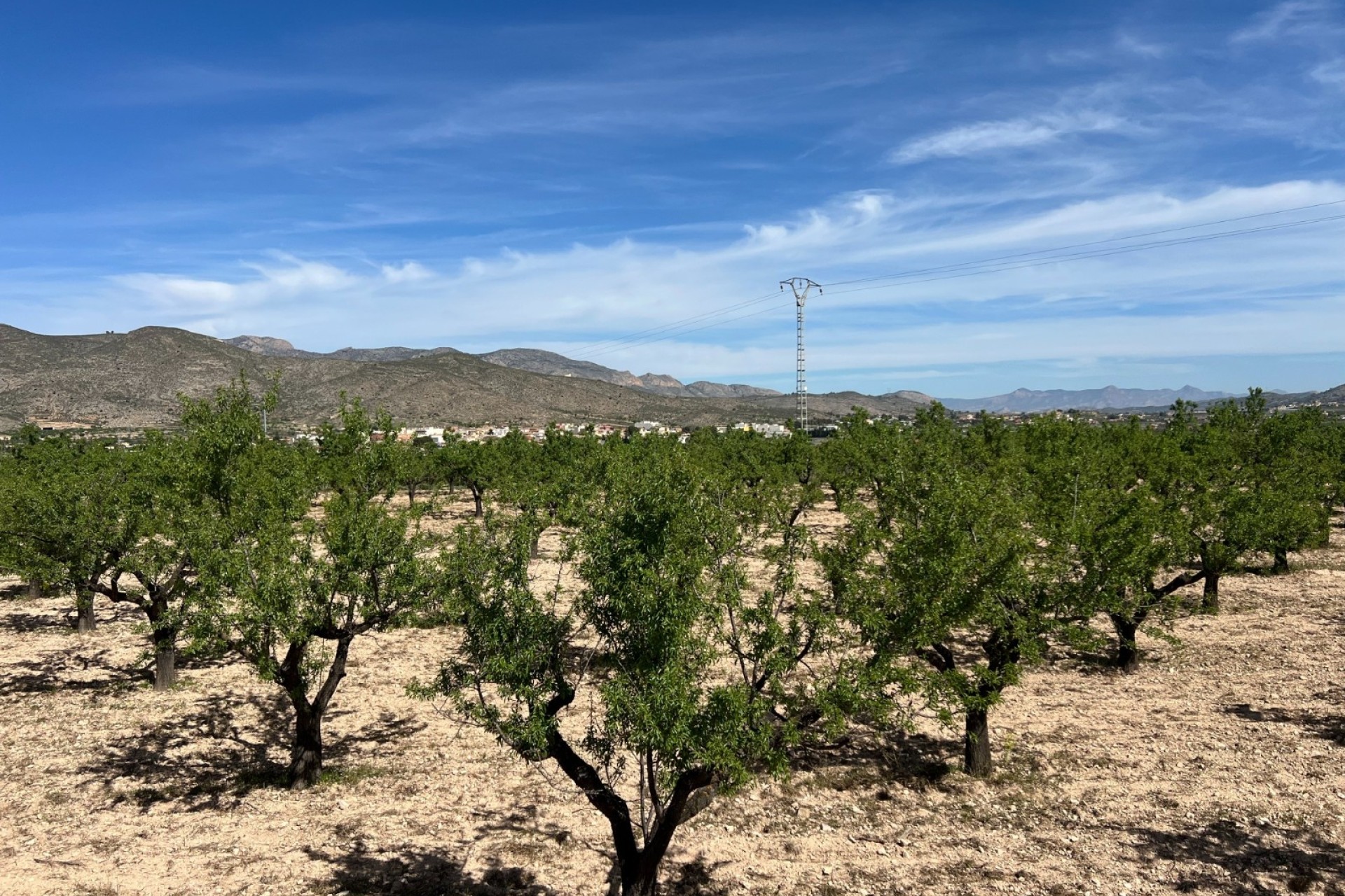 Sprzedaż - Działka / Grunt -
Hondón de los Fráiles