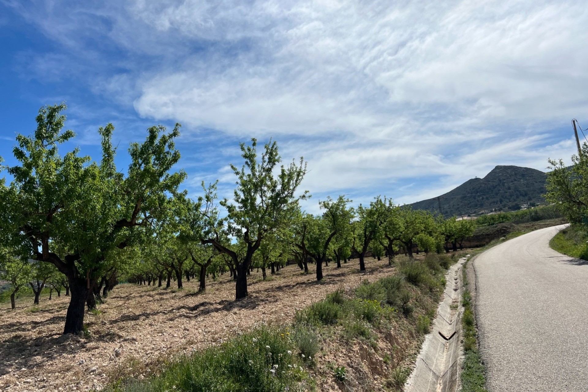 Sprzedaż - Działka / Grunt -
Hondón de los Fráiles