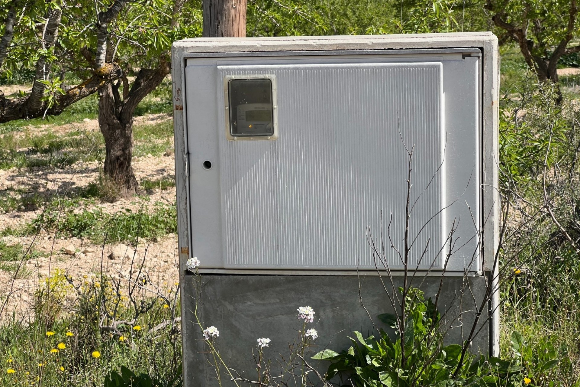 Sprzedaż - Działka / Grunt -
Hondón de los Fráiles