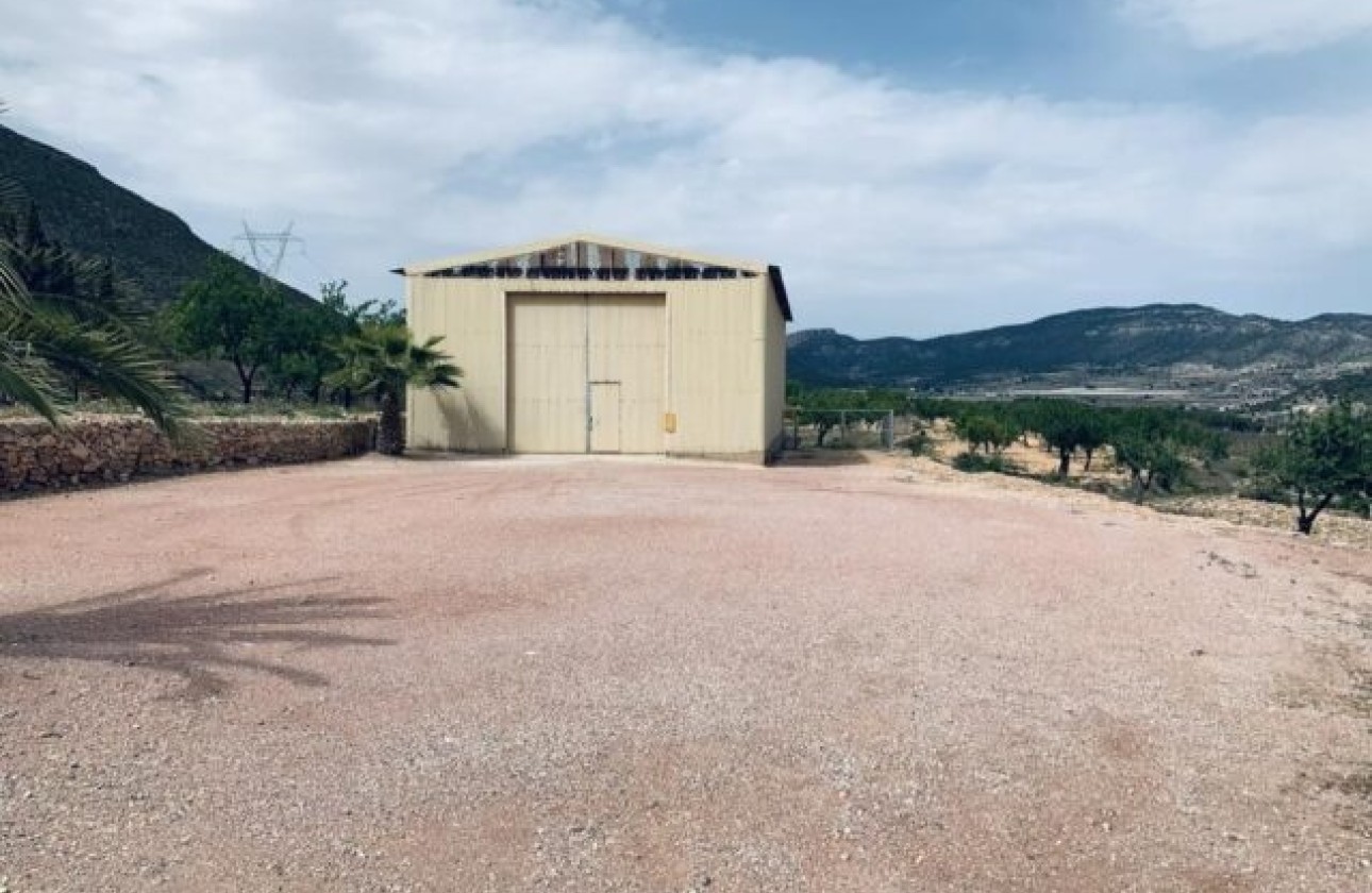 Sprzedaż - Działka / Grunt -
La Romana