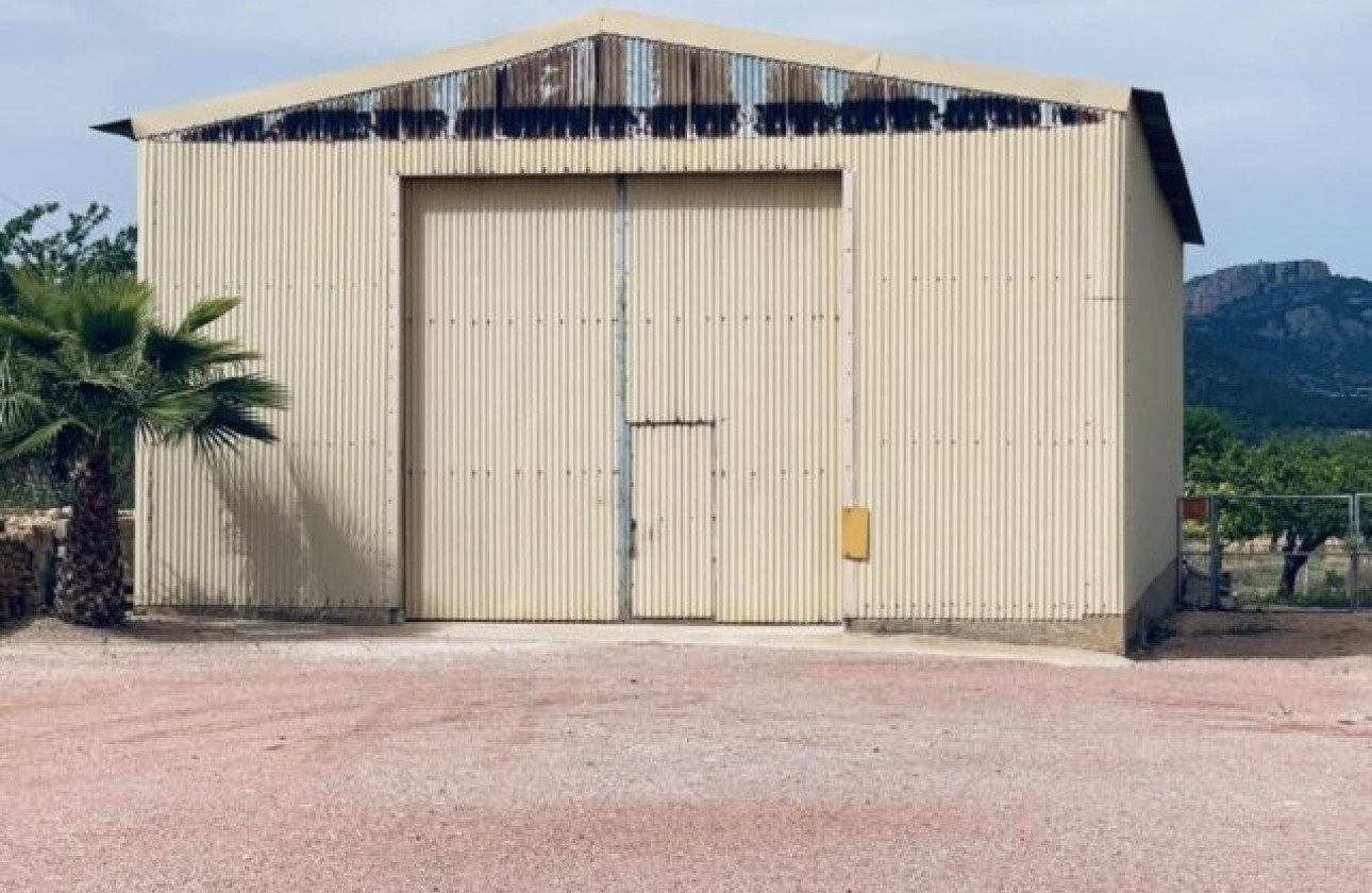 Sprzedaż - Działka / Grunt -
La Romana