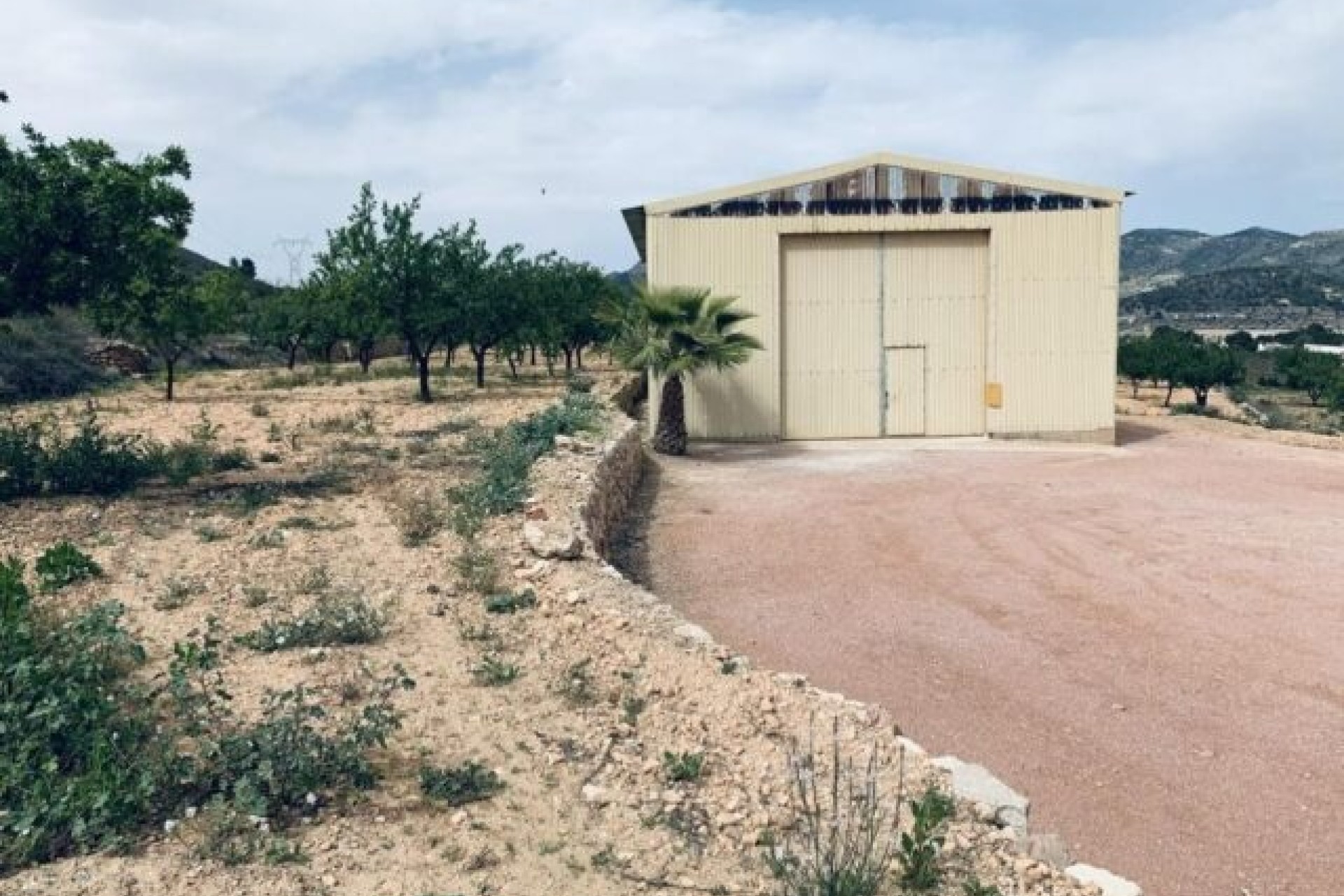 Sprzedaż - Działka / Grunt -
La Romana