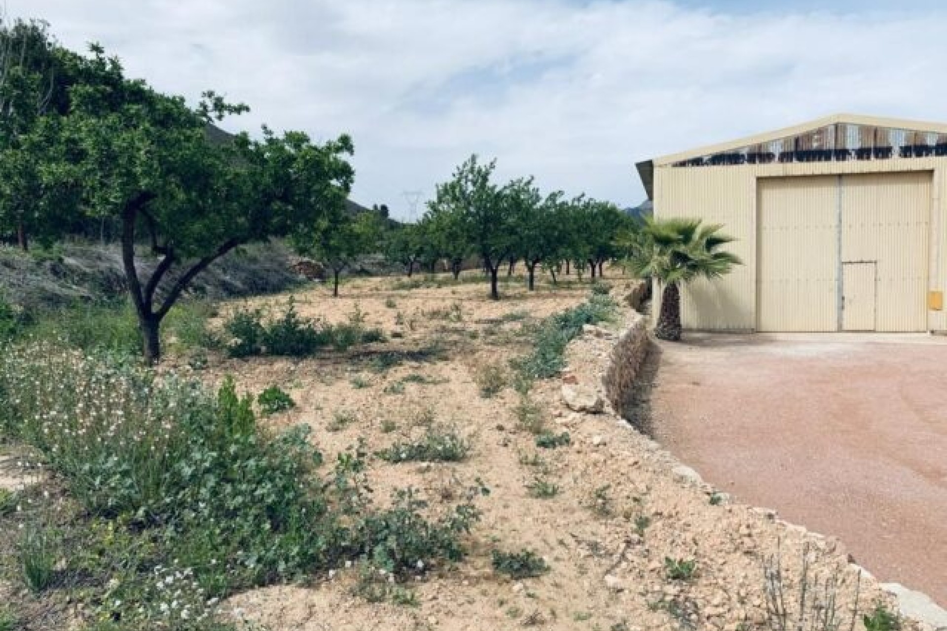 Sprzedaż - Działka / Grunt -
La Romana