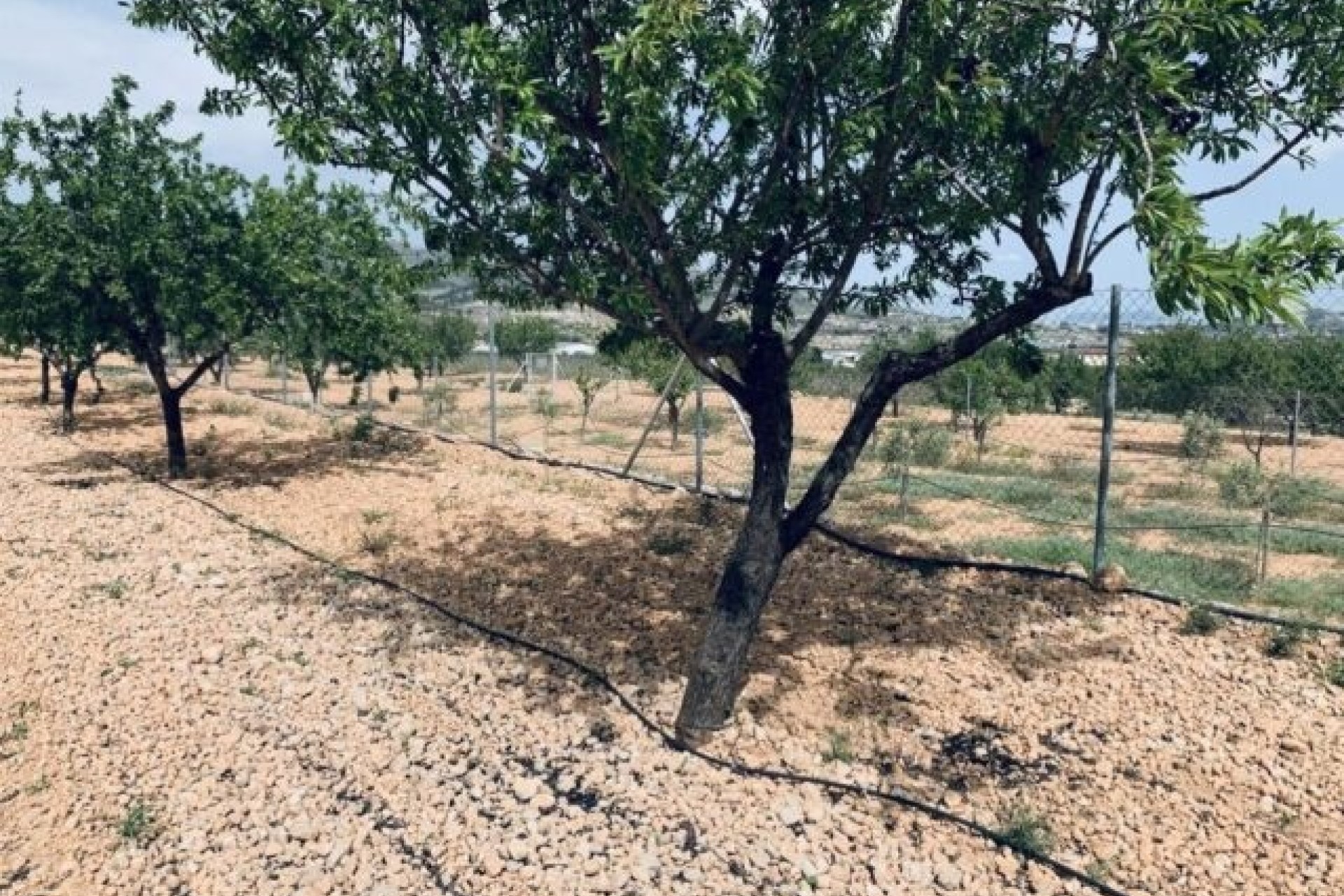 Sprzedaż - Działka / Grunt -
La Romana