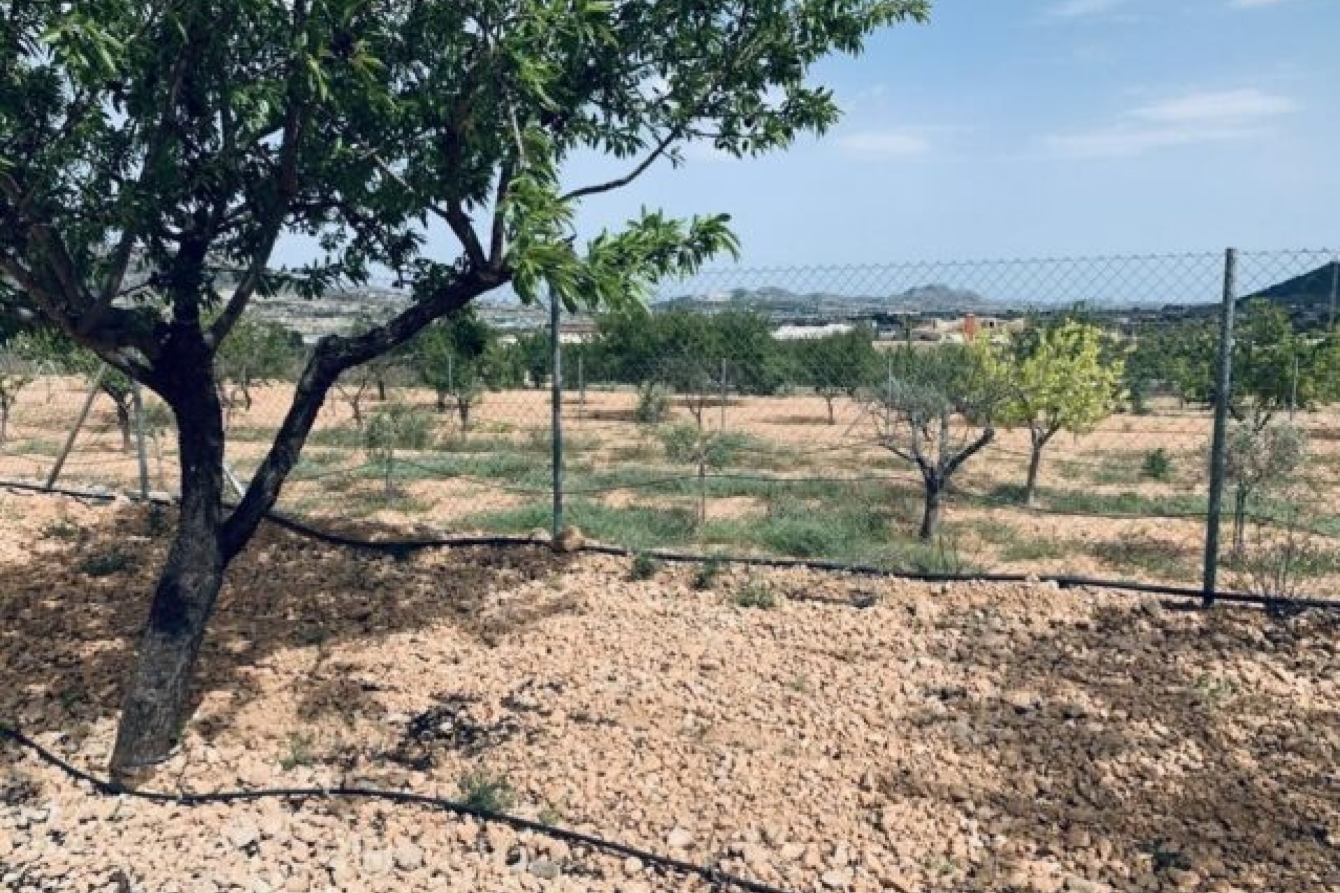 Sprzedaż - Działka / Grunt -
La Romana