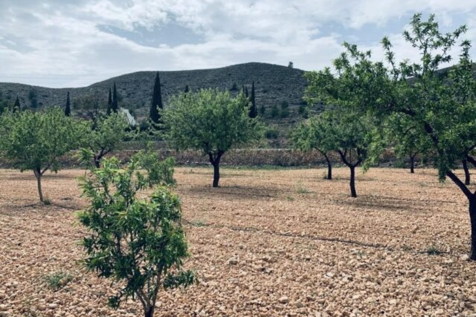 Sprzedaż - Działka / Grunt -
La Romana