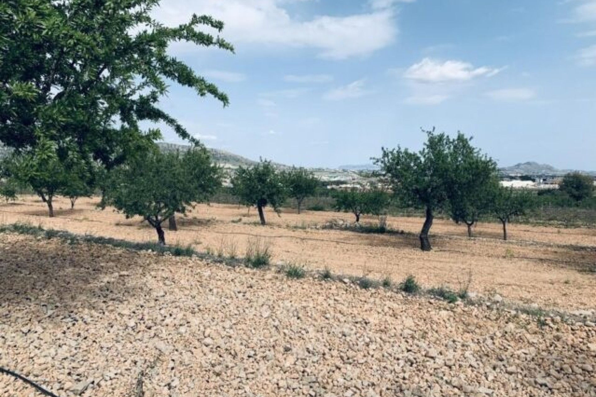 Sprzedaż - Działka / Grunt -
La Romana