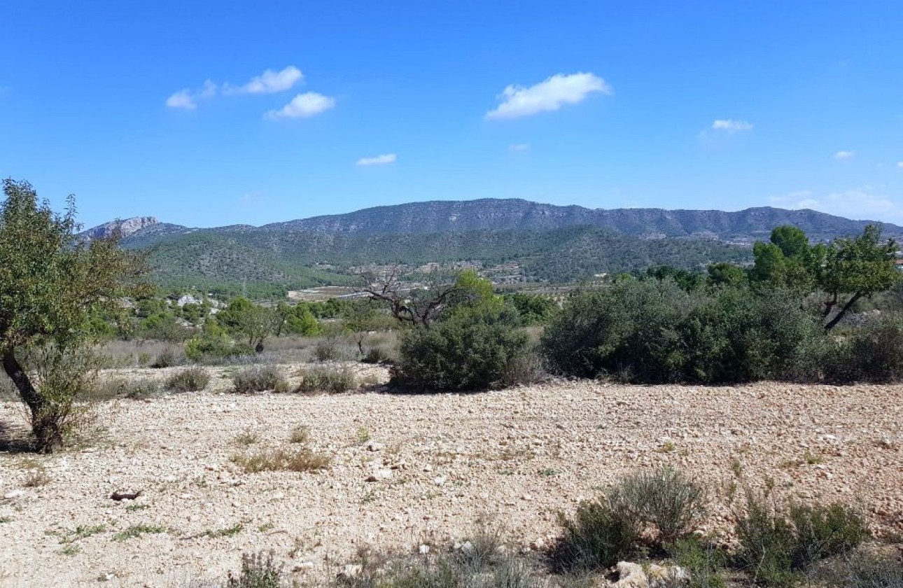 Sprzedaż - Działka / Grunt -
Monóvar