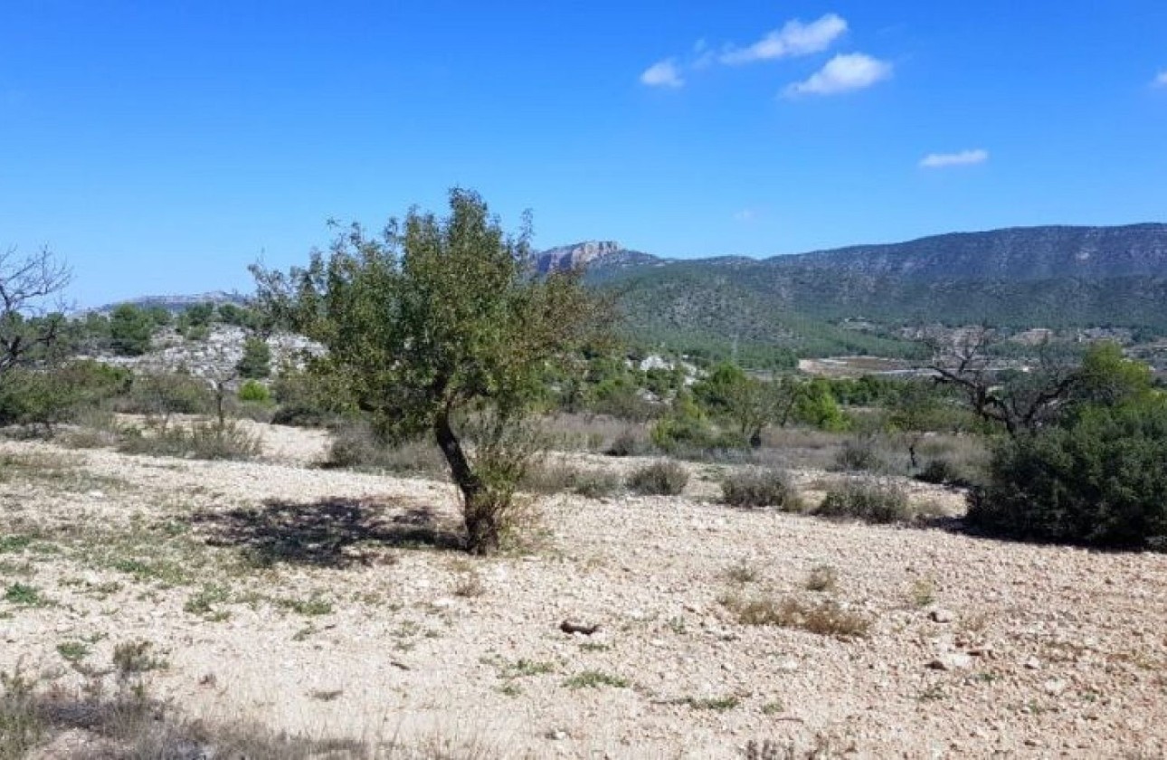 Sprzedaż - Działka / Grunt -
Monóvar