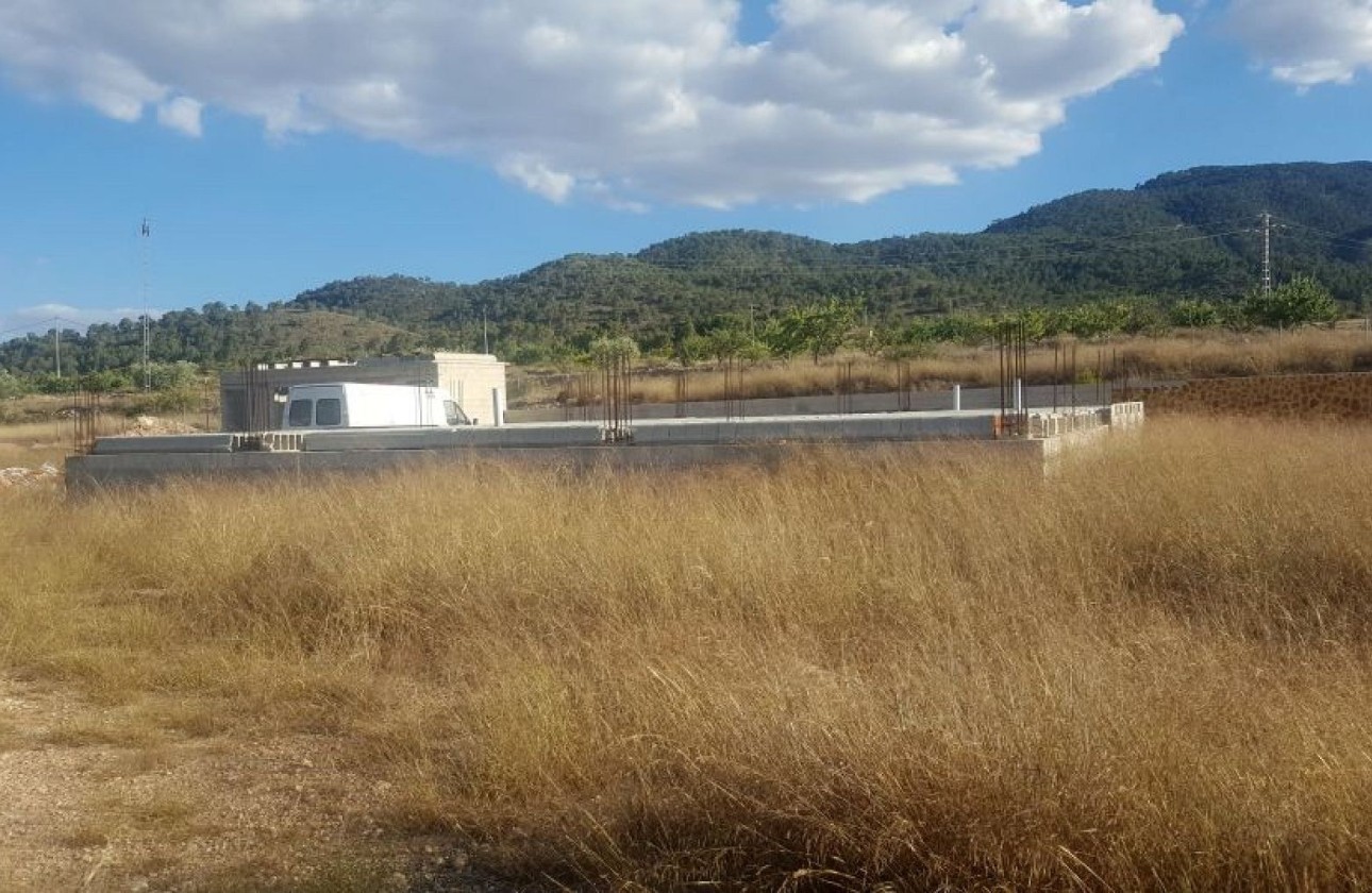 Sprzedaż - Działka Grunt -
Monóvar