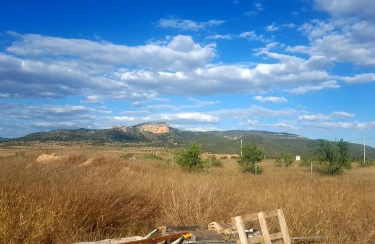 Sprzedaż - Działka Grunt -
Monóvar