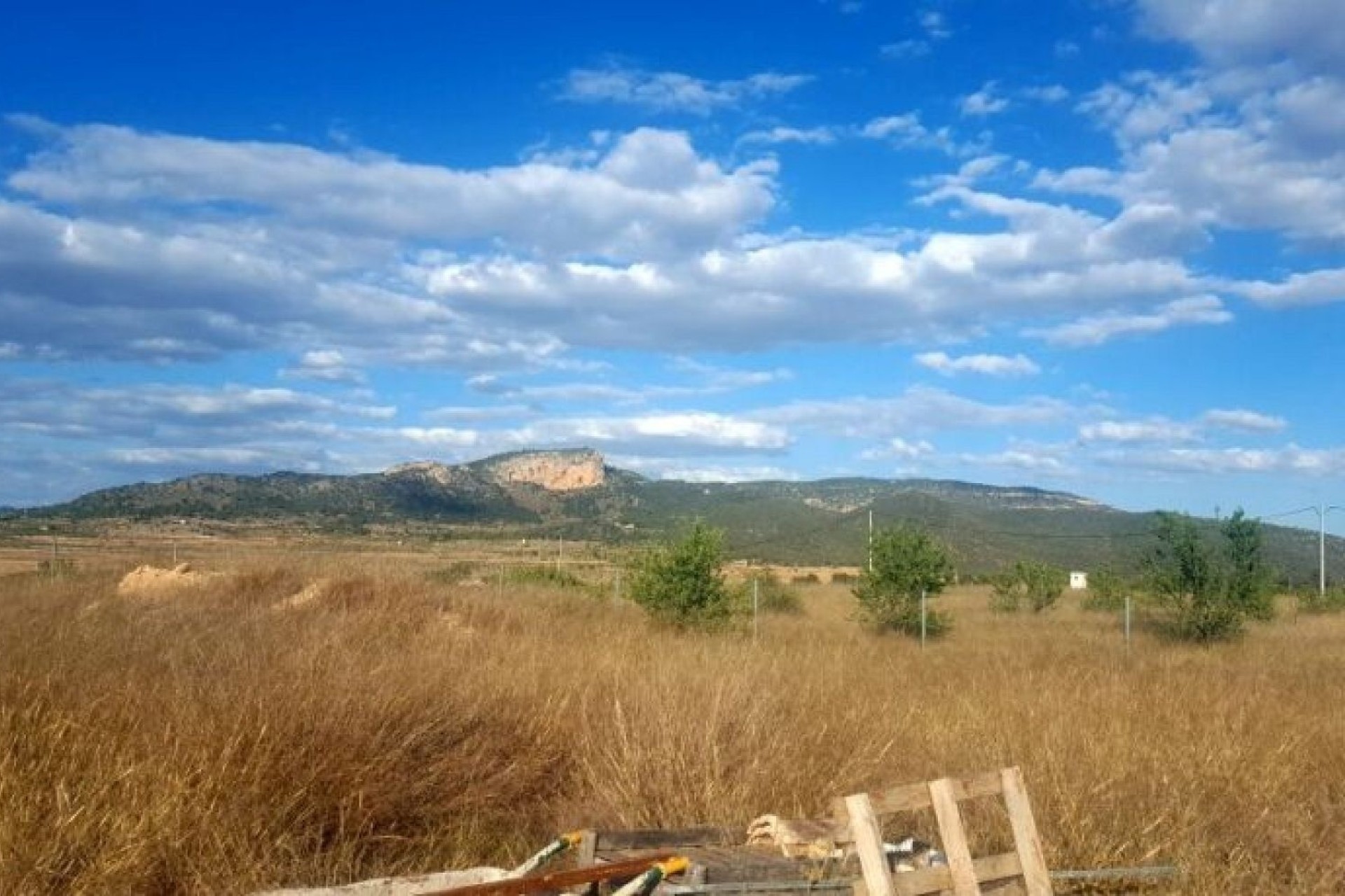 Sprzedaż - Działka Grunt -
Monóvar