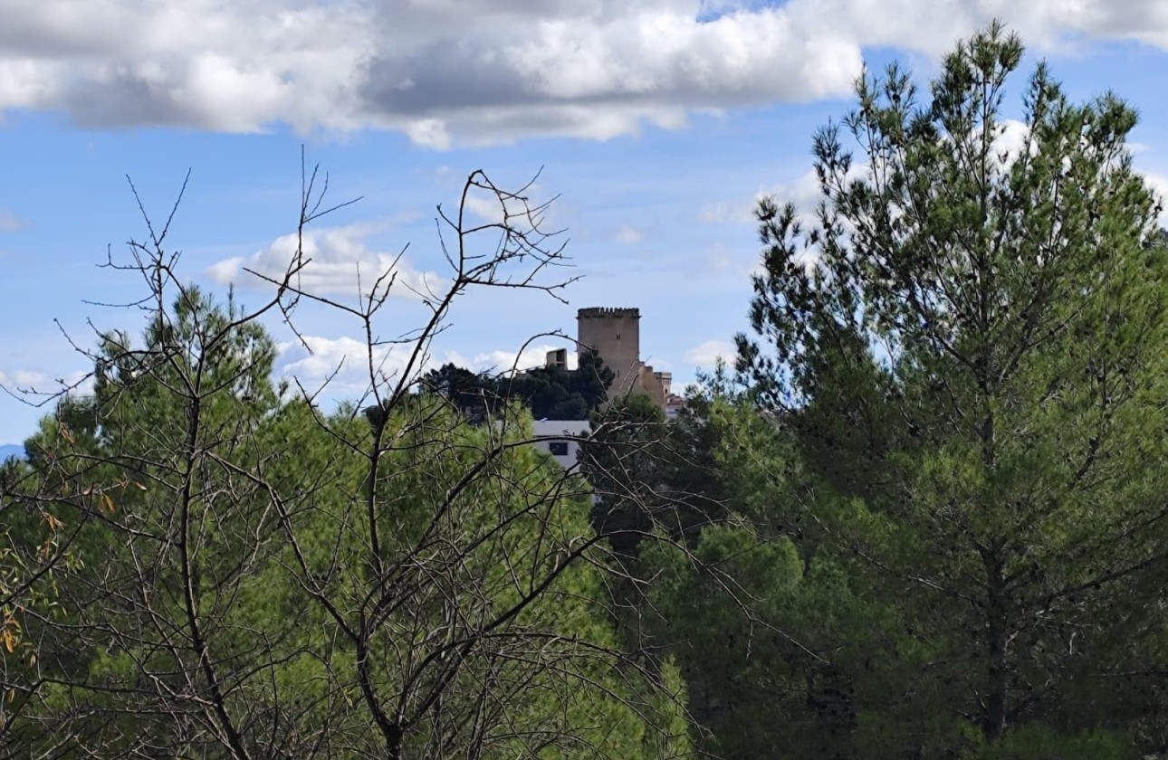 Sprzedaż - Działka Grunt -
Moratalla