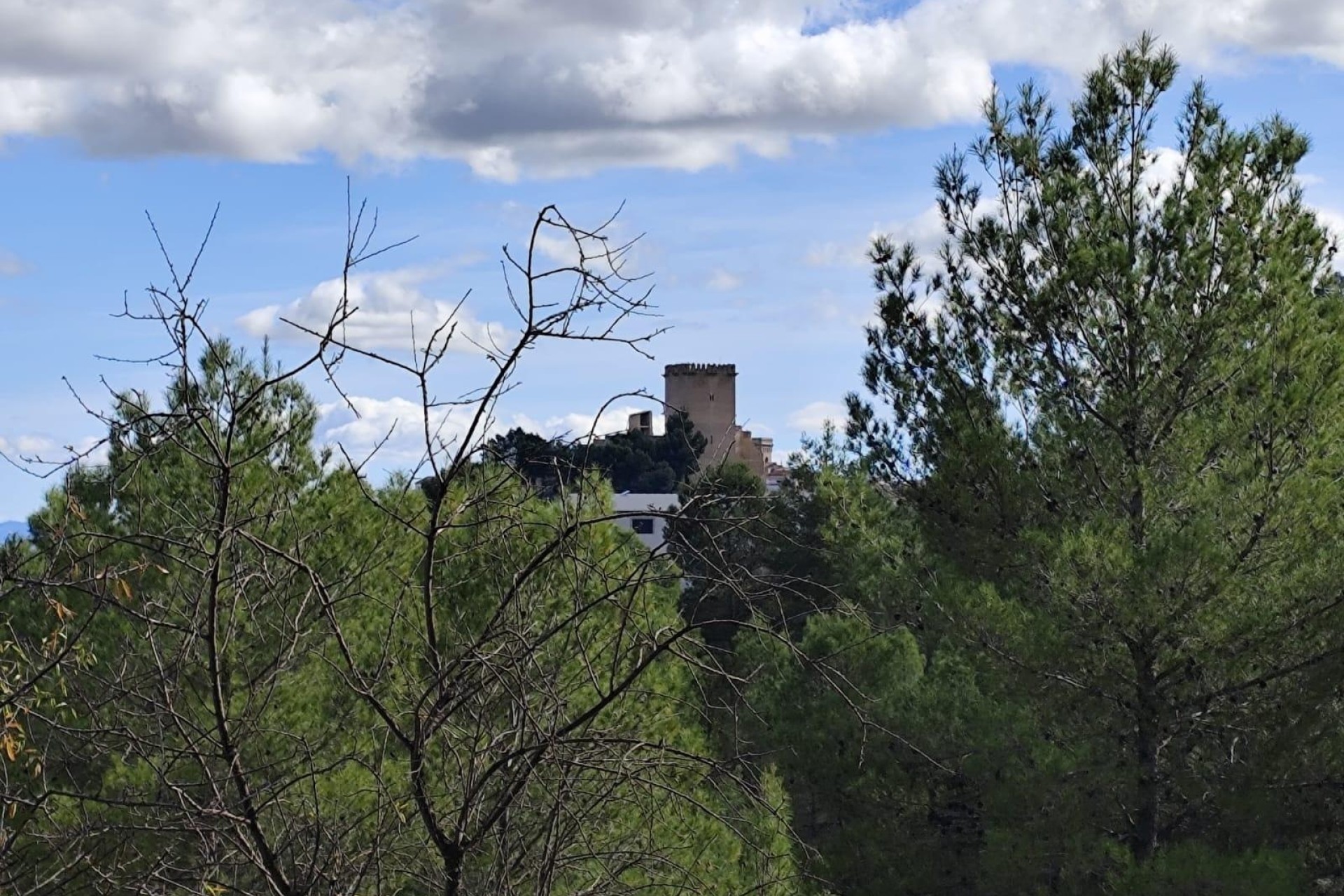 Sprzedaż - Działka Grunt -
Moratalla