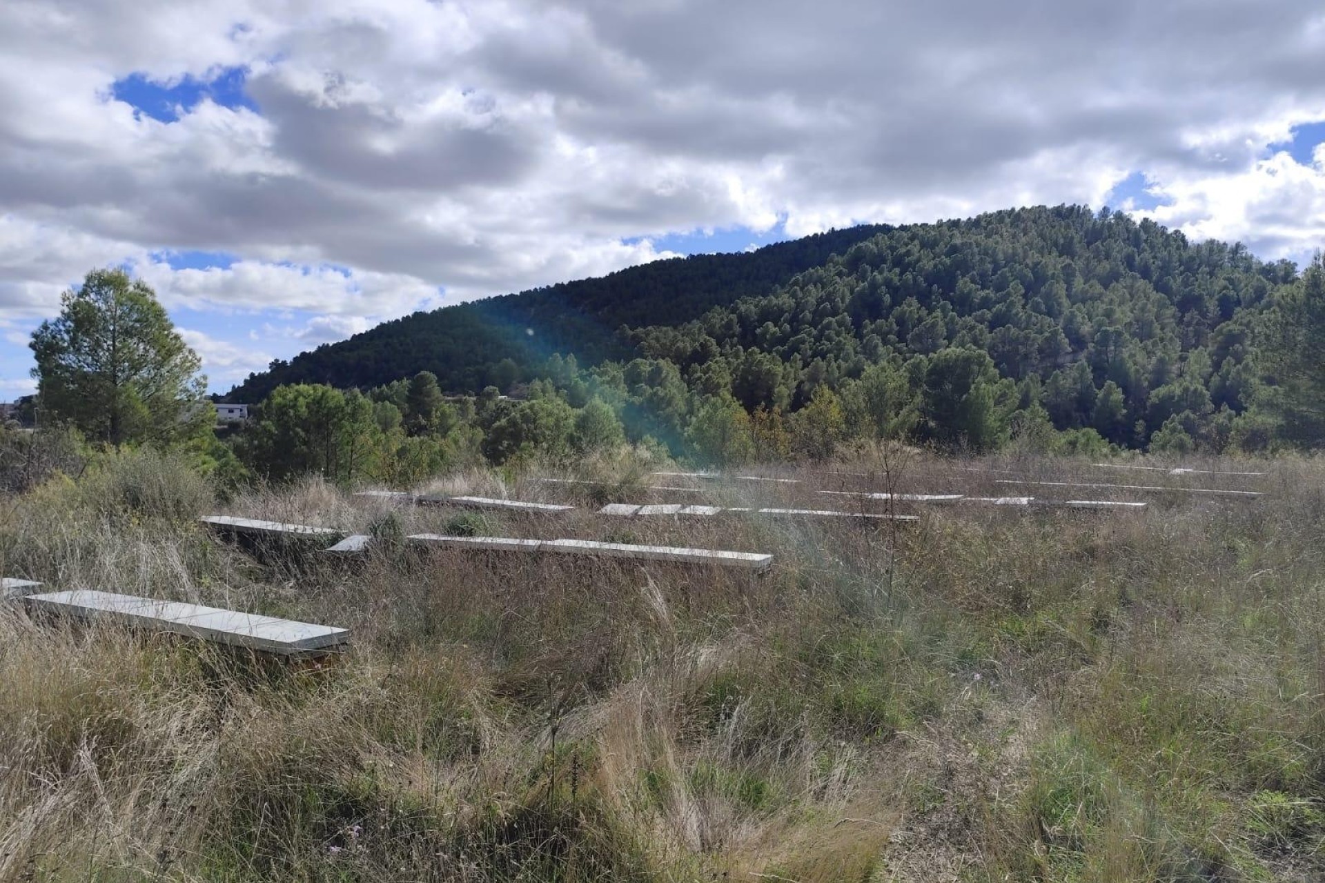 Sprzedaż - Działka Grunt -
Moratalla