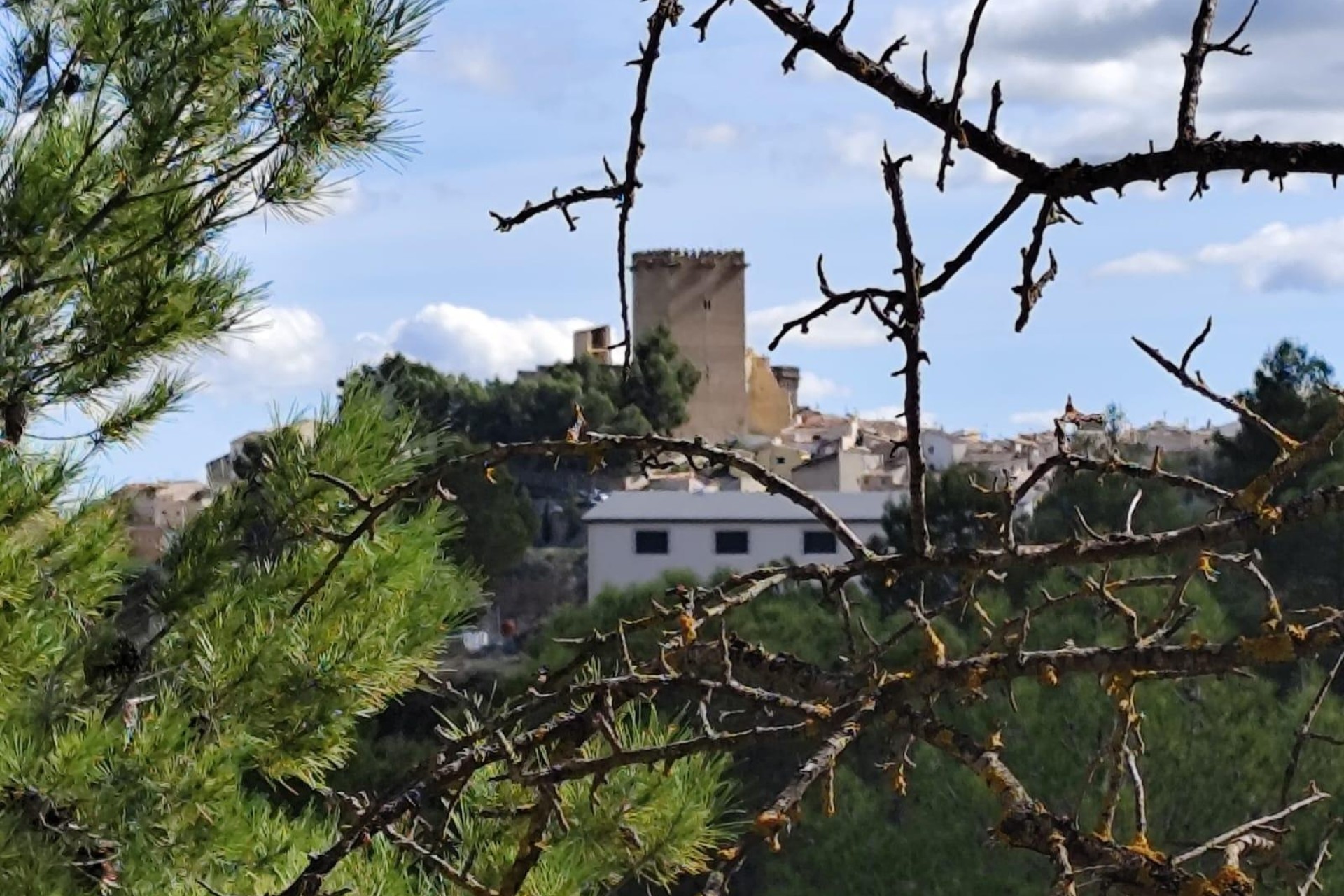 Sprzedaż - Działka Grunt -
Moratalla