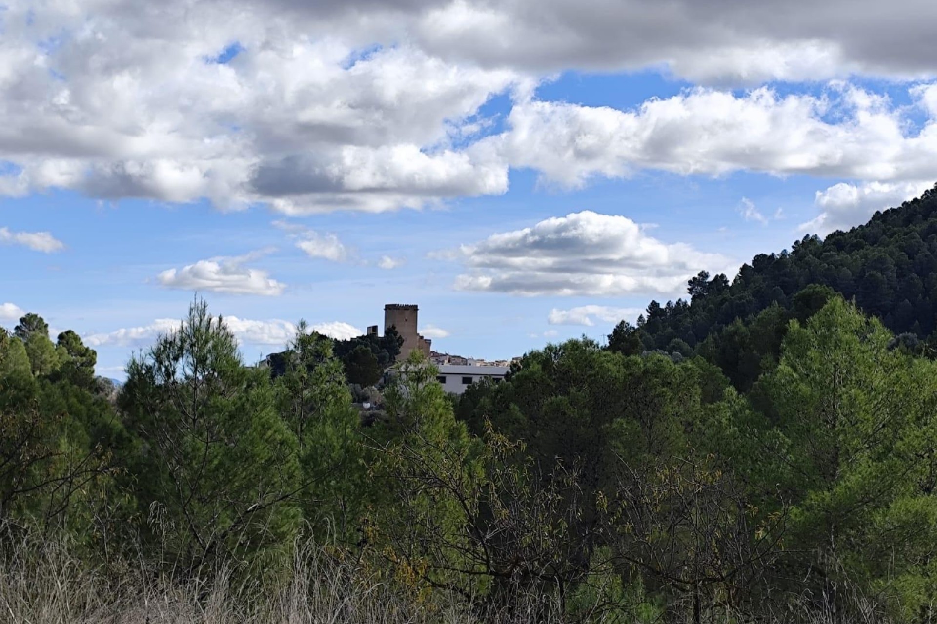 Sprzedaż - Działka Grunt -
Moratalla