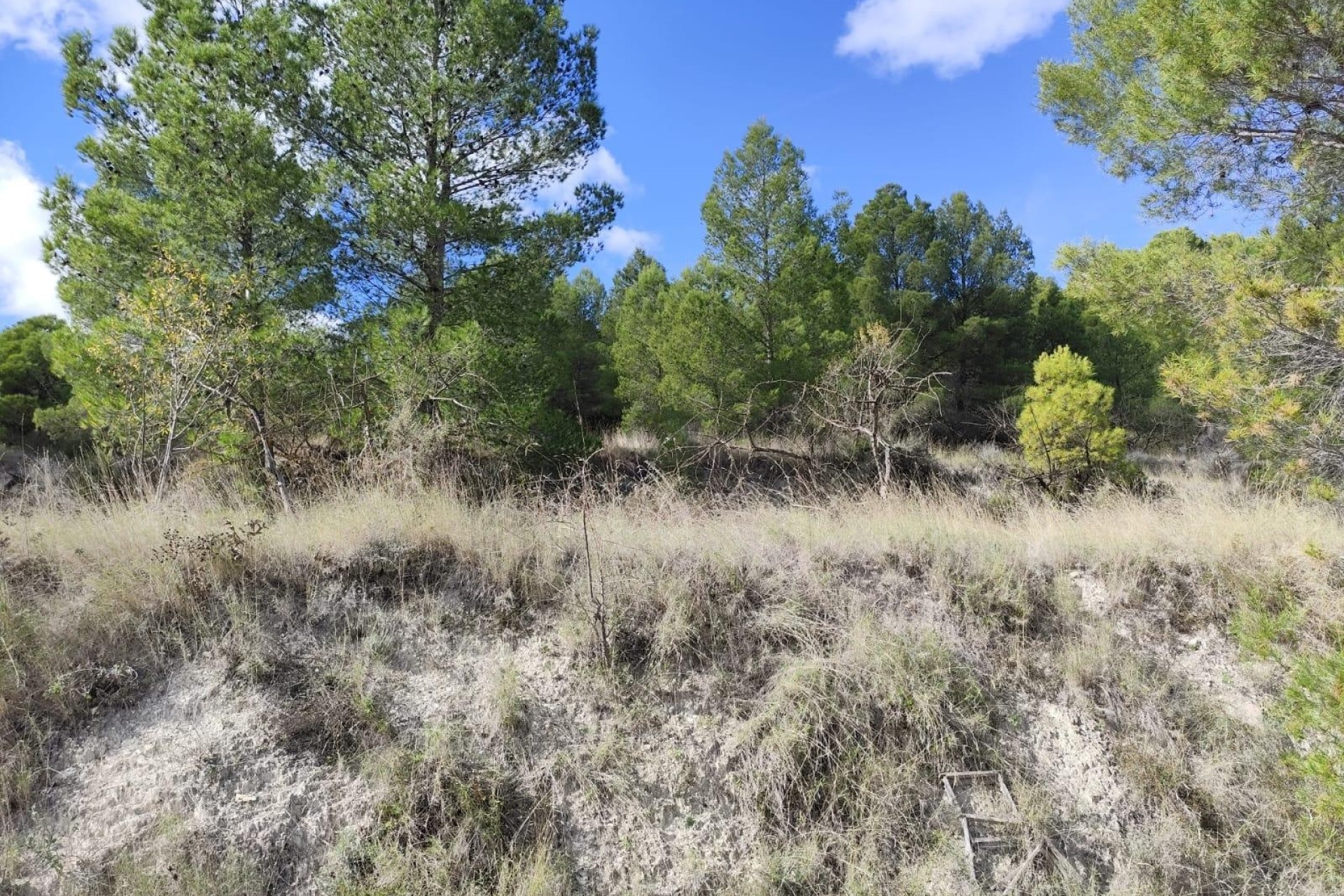 Sprzedaż - Działka Grunt -
Moratalla