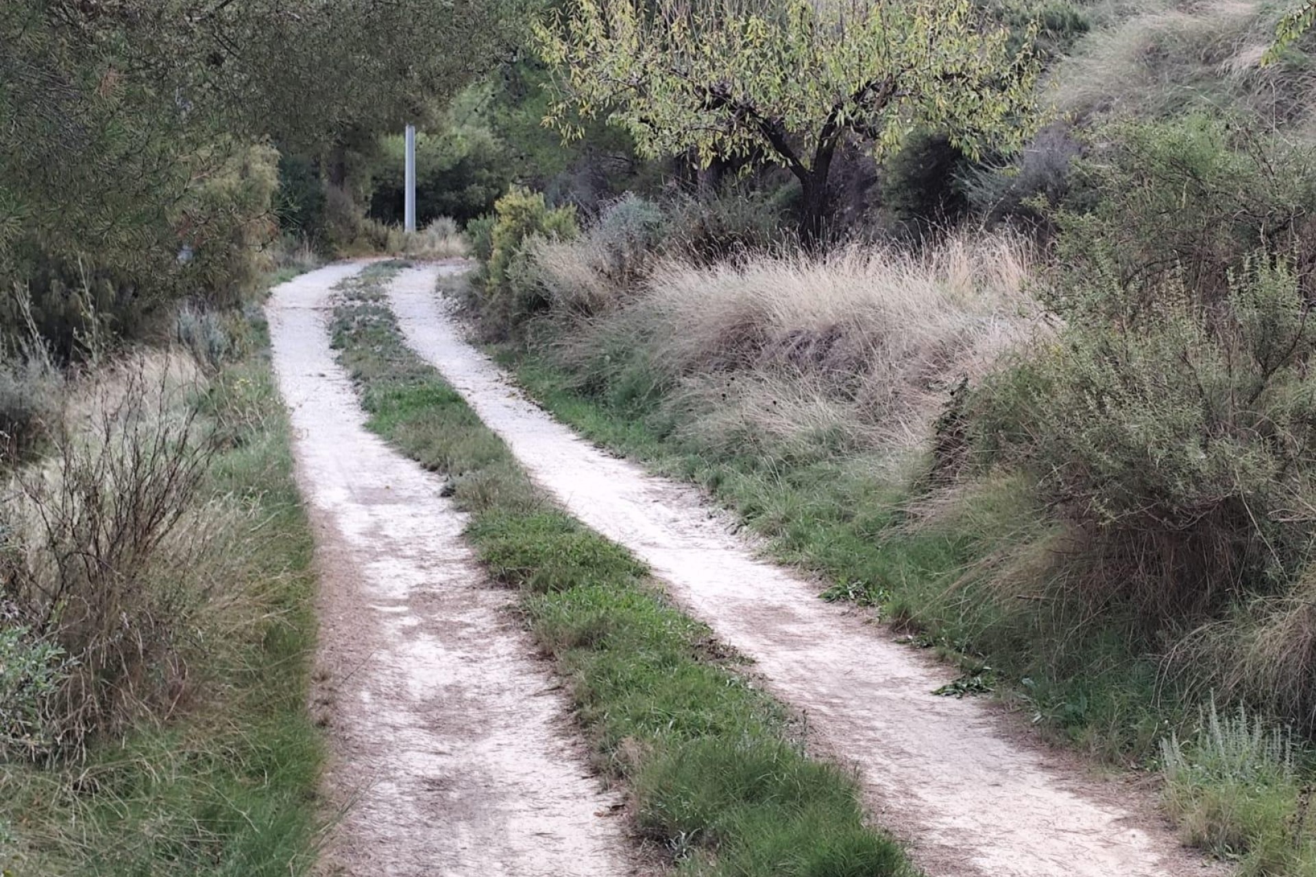 Sprzedaż - Działka Grunt -
Moratalla